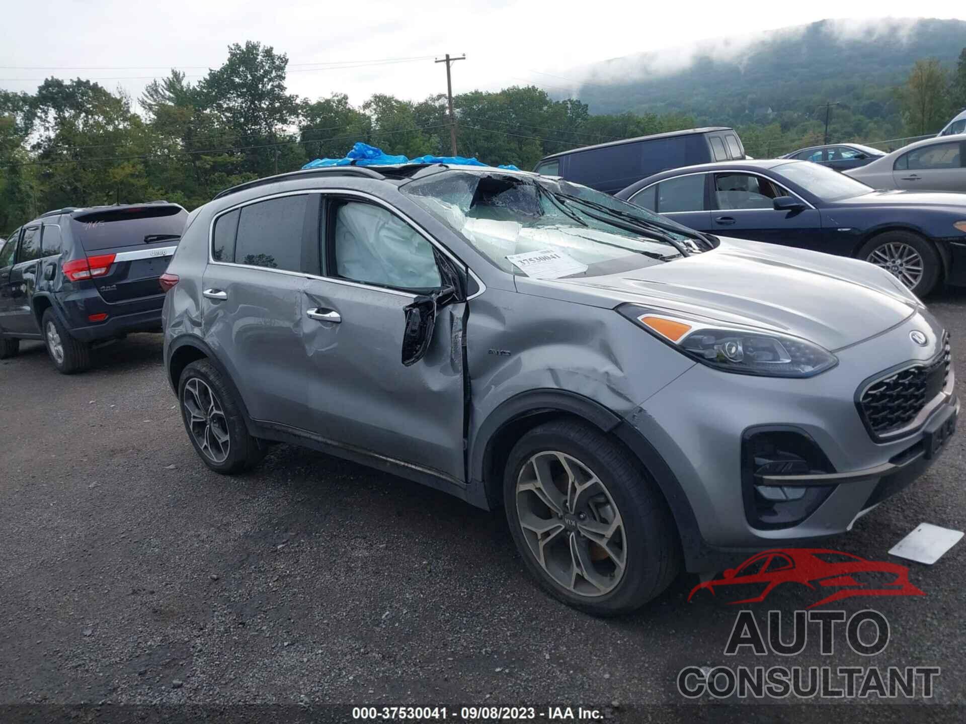 KIA SPORTAGE 2022 - KNDPRCA68N7987681