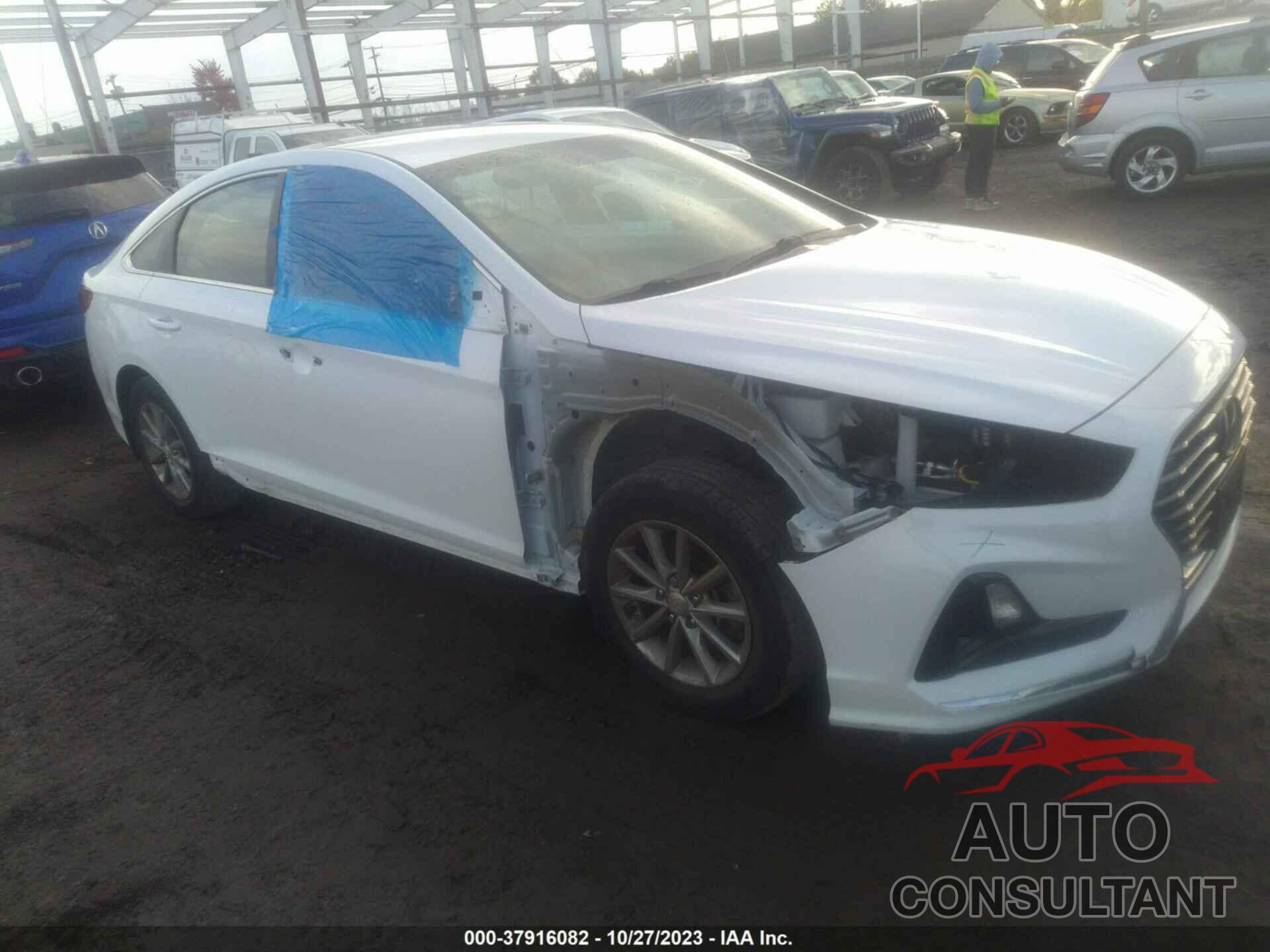HYUNDAI SONATA 2019 - 5NPE24AF2KH738771
