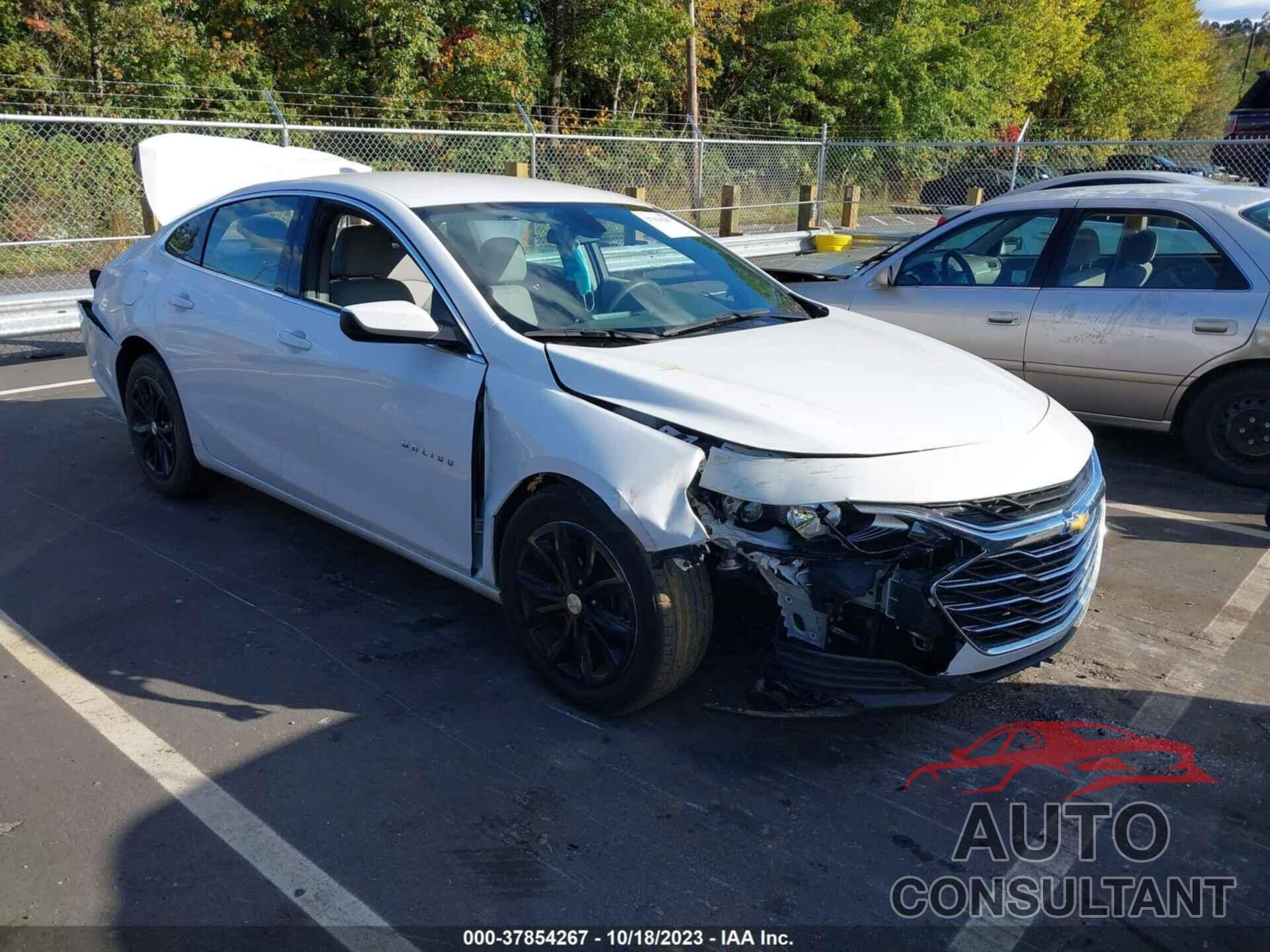 CHEVROLET MALIBU 2021 - 1G1ZD5ST5MF007571