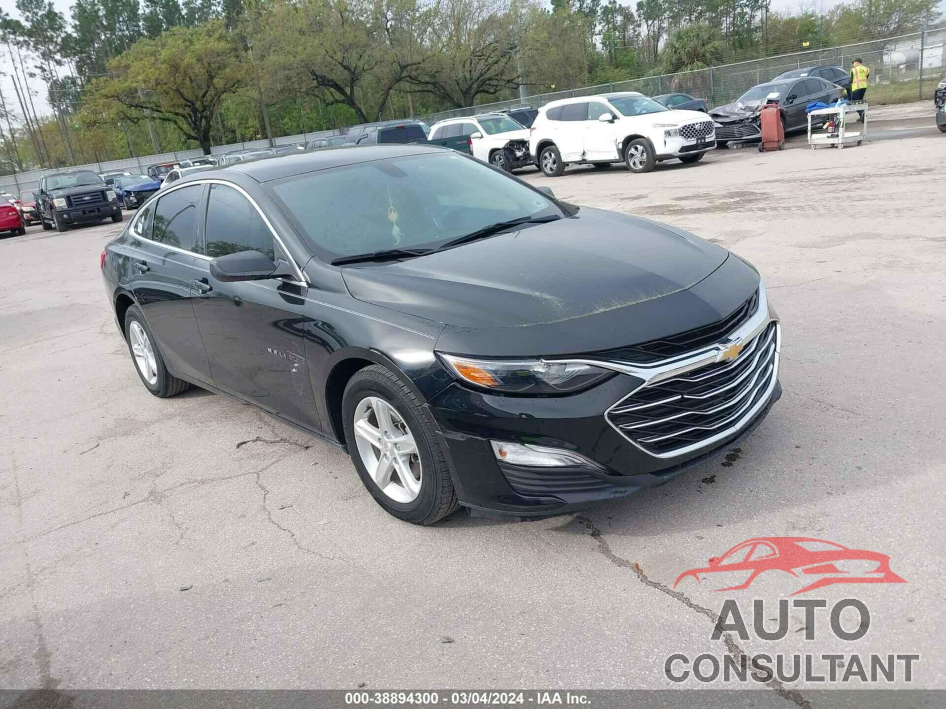 CHEVROLET MALIBU 2019 - 1G1ZB5ST3KF205763