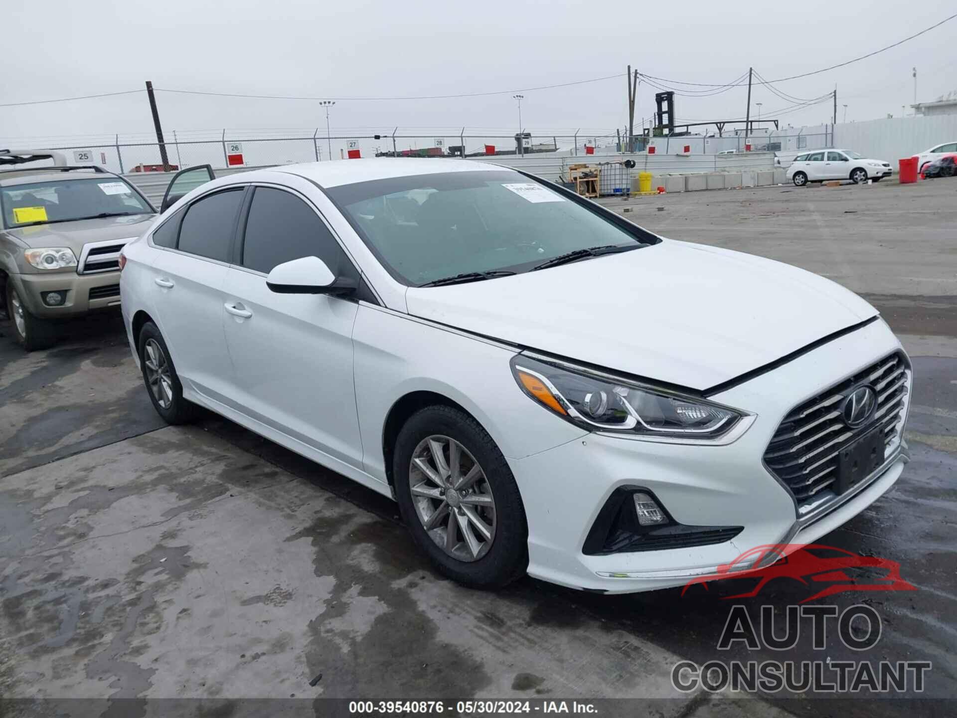 HYUNDAI SONATA 2019 - 5NPE24AF6KH761051