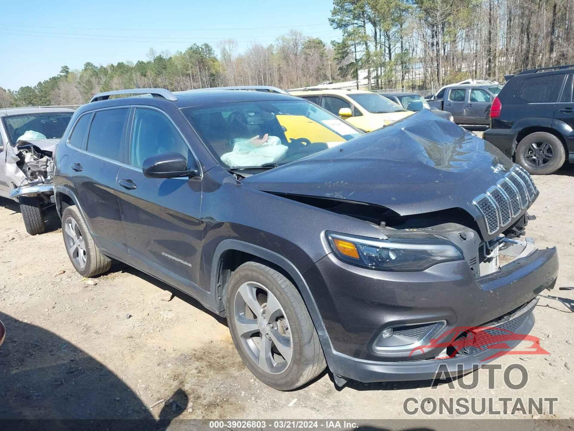 JEEP CHEROKEE 2019 - 1C4PJLDB1KD419849