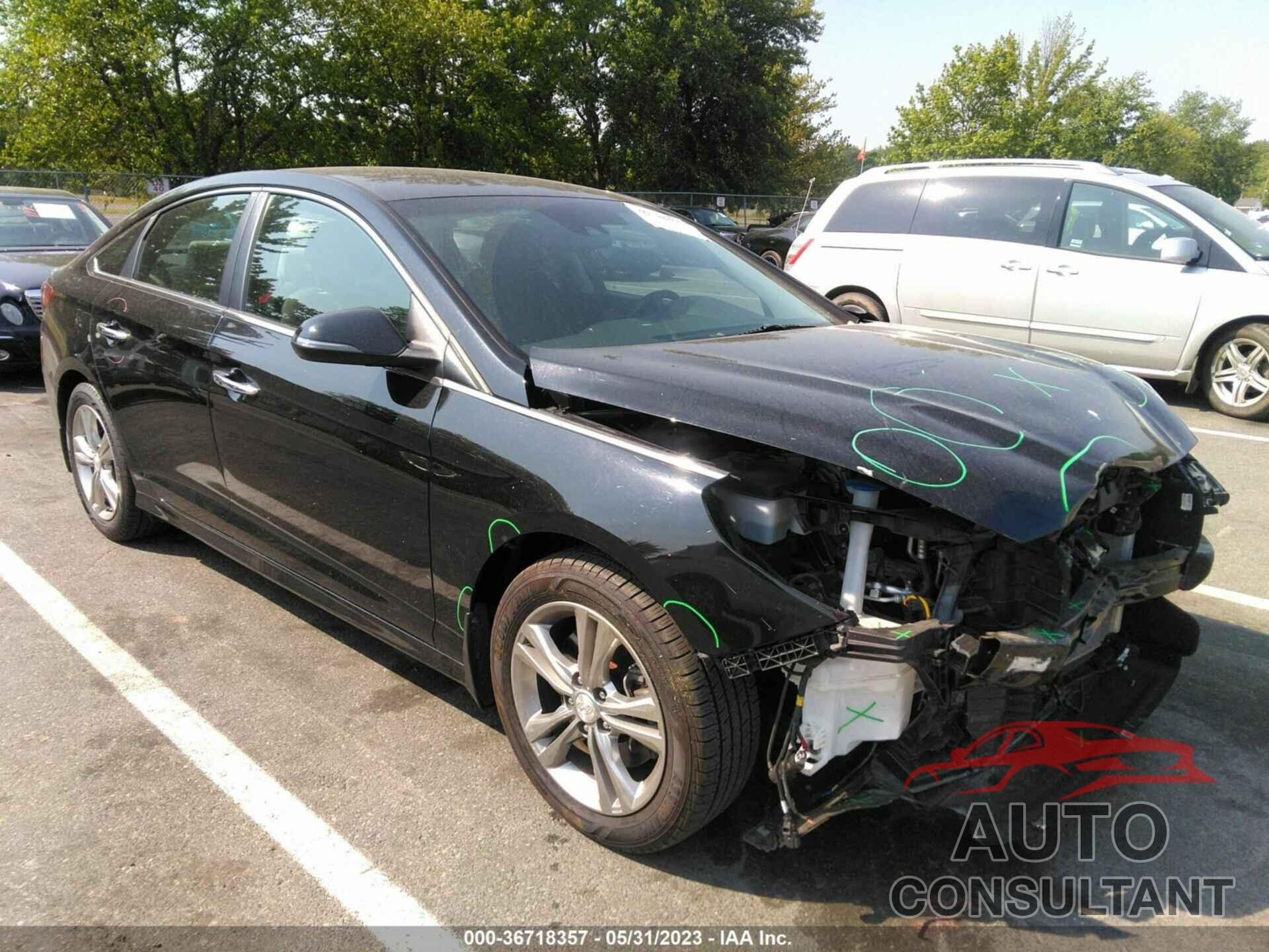 HYUNDAI SONATA 2019 - 5NPE34AFXKH806571