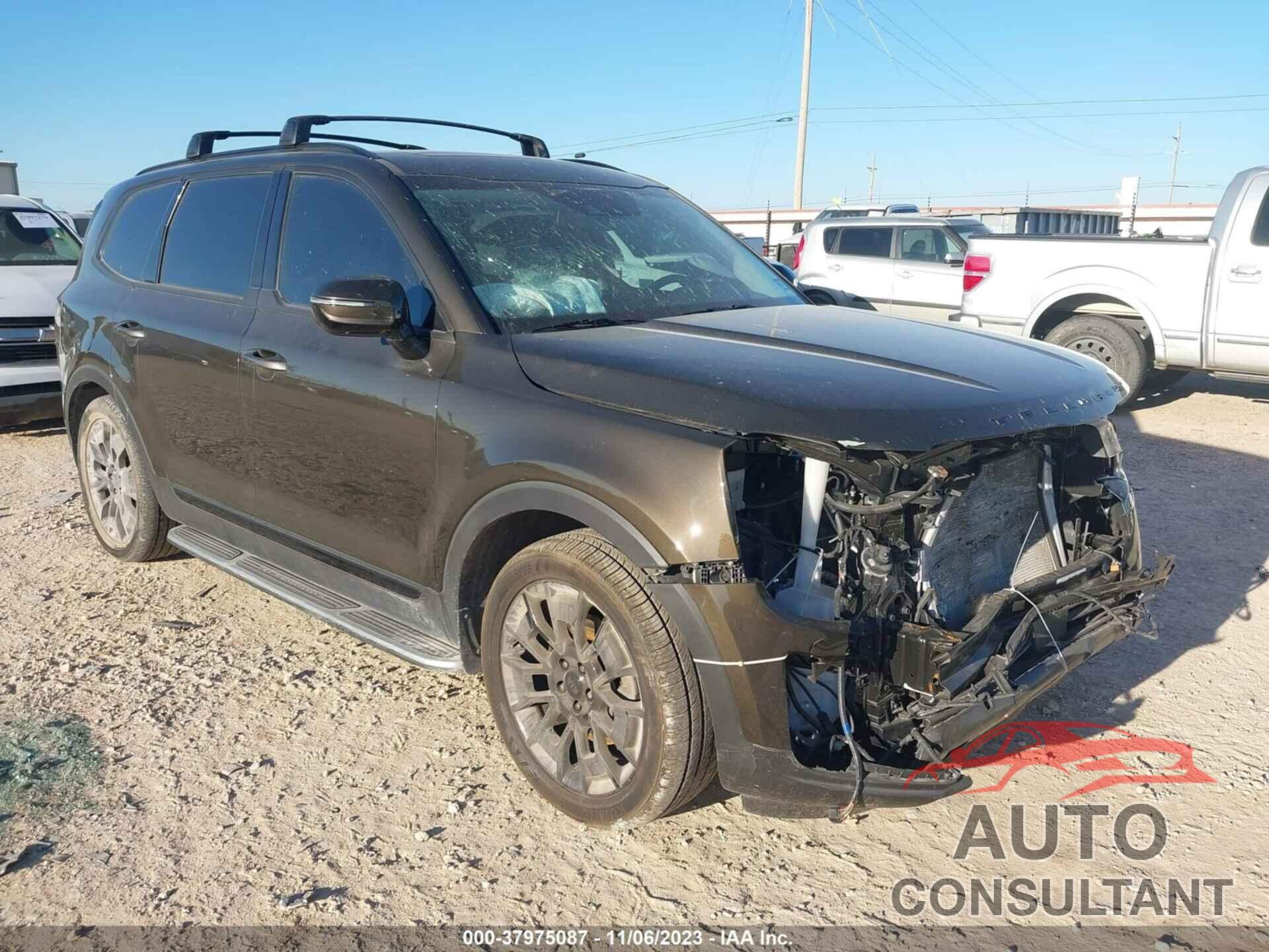 KIA TELLURIDE 2021 - 5XYP5DHC5MG116266