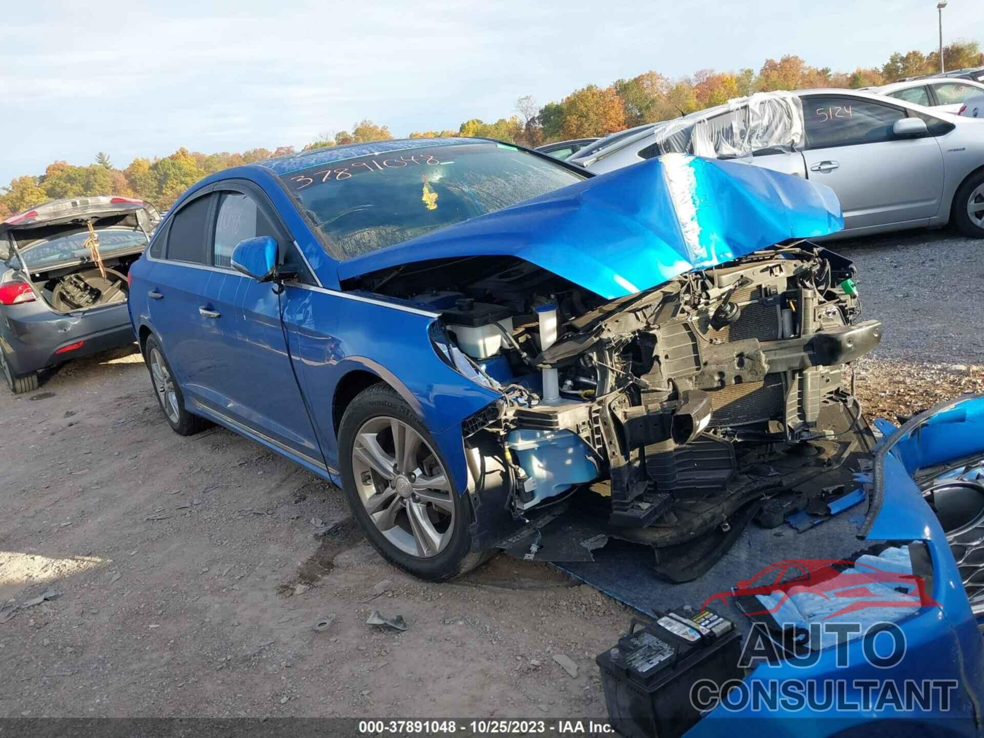 HYUNDAI SONATA 2018 - 5NPE34AF6JH608522