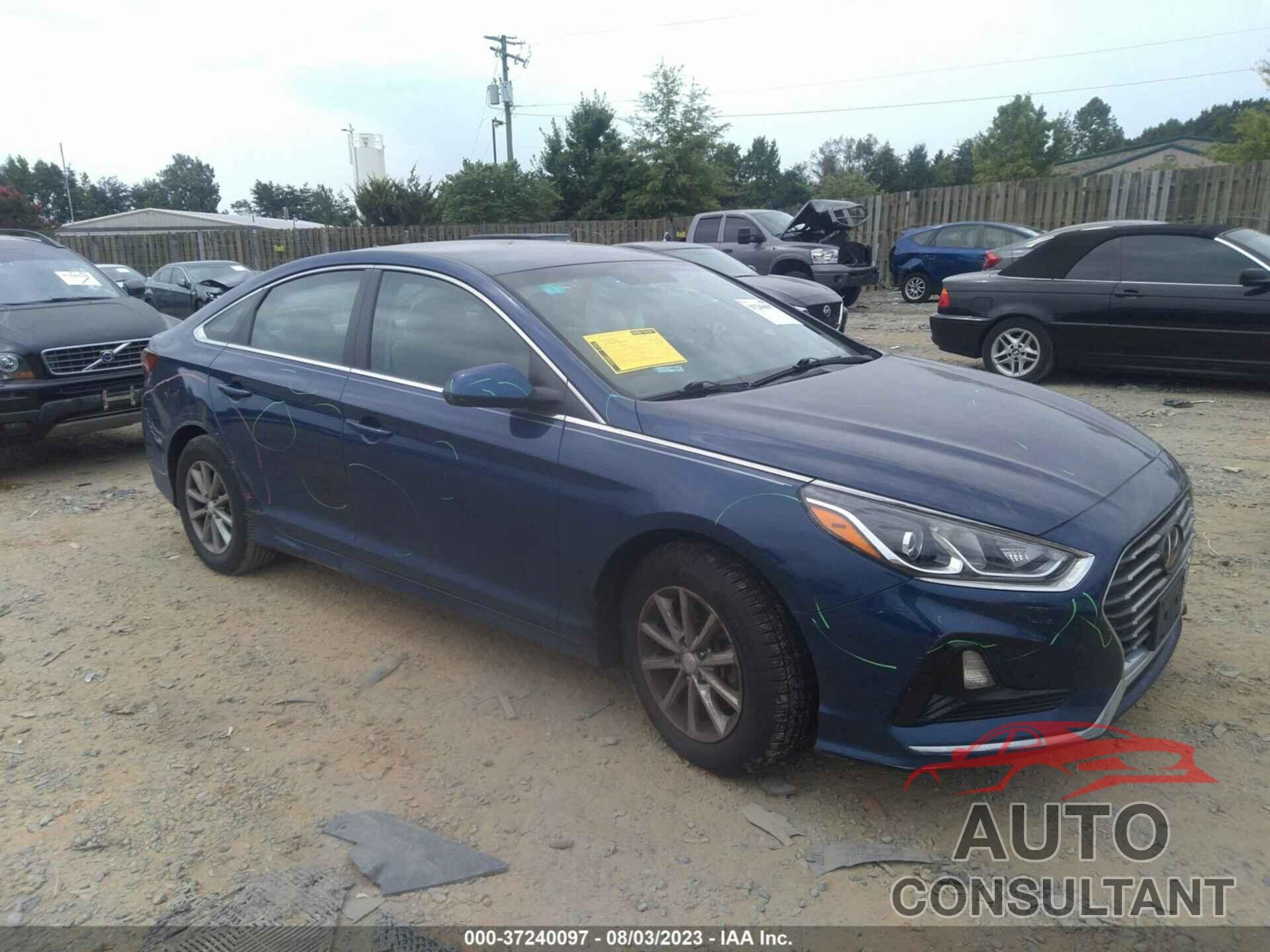 HYUNDAI SONATA 2019 - 5NPE24AF2KH731710