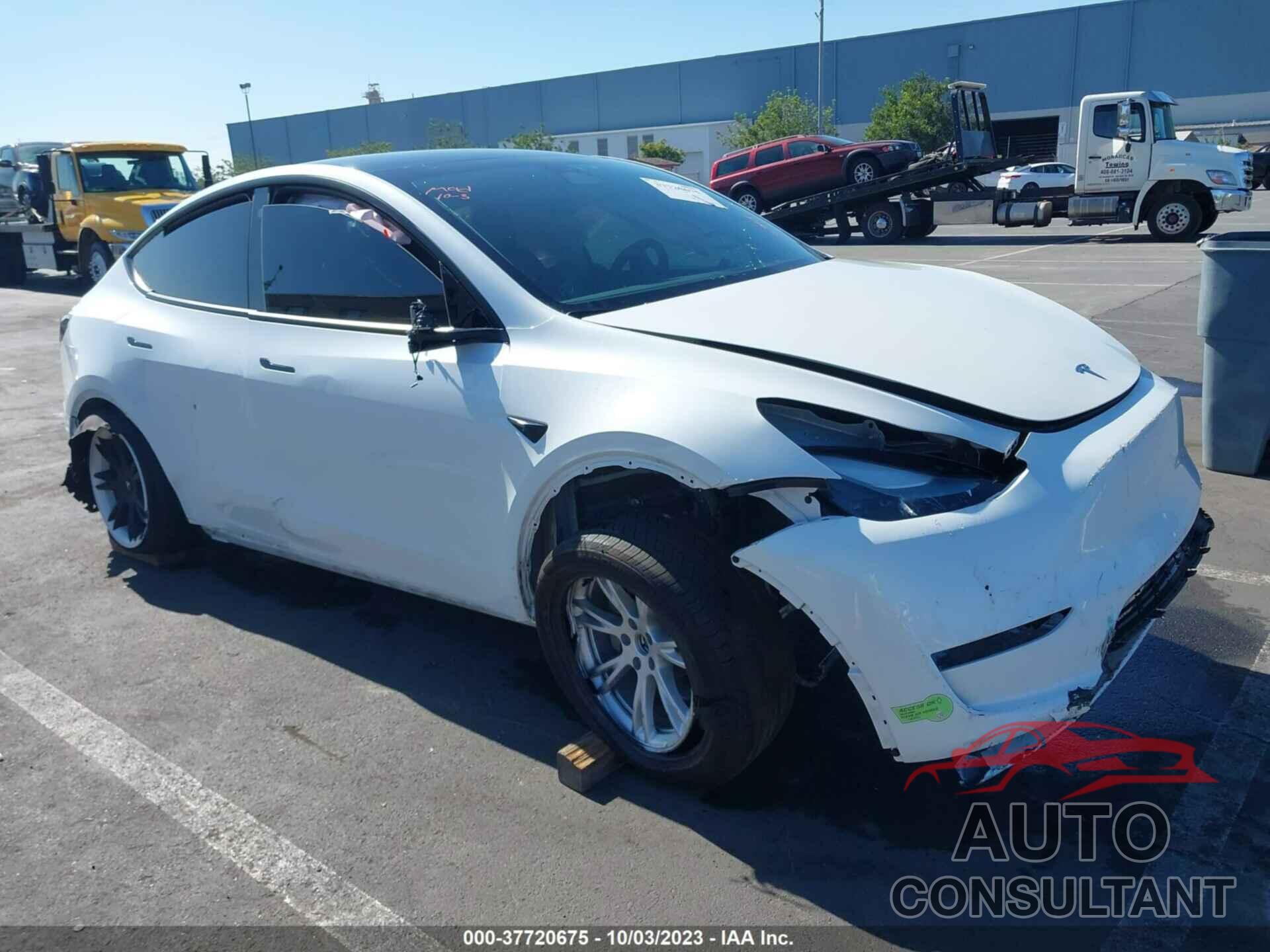 TESLA MODEL Y 2023 - 7SAYGDEE5PF662228