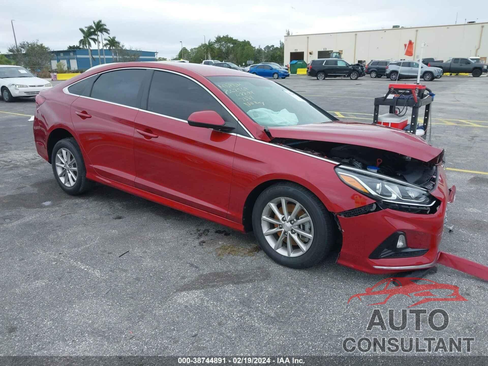 HYUNDAI SONATA 2019 - 5NPE24AF7KH747384