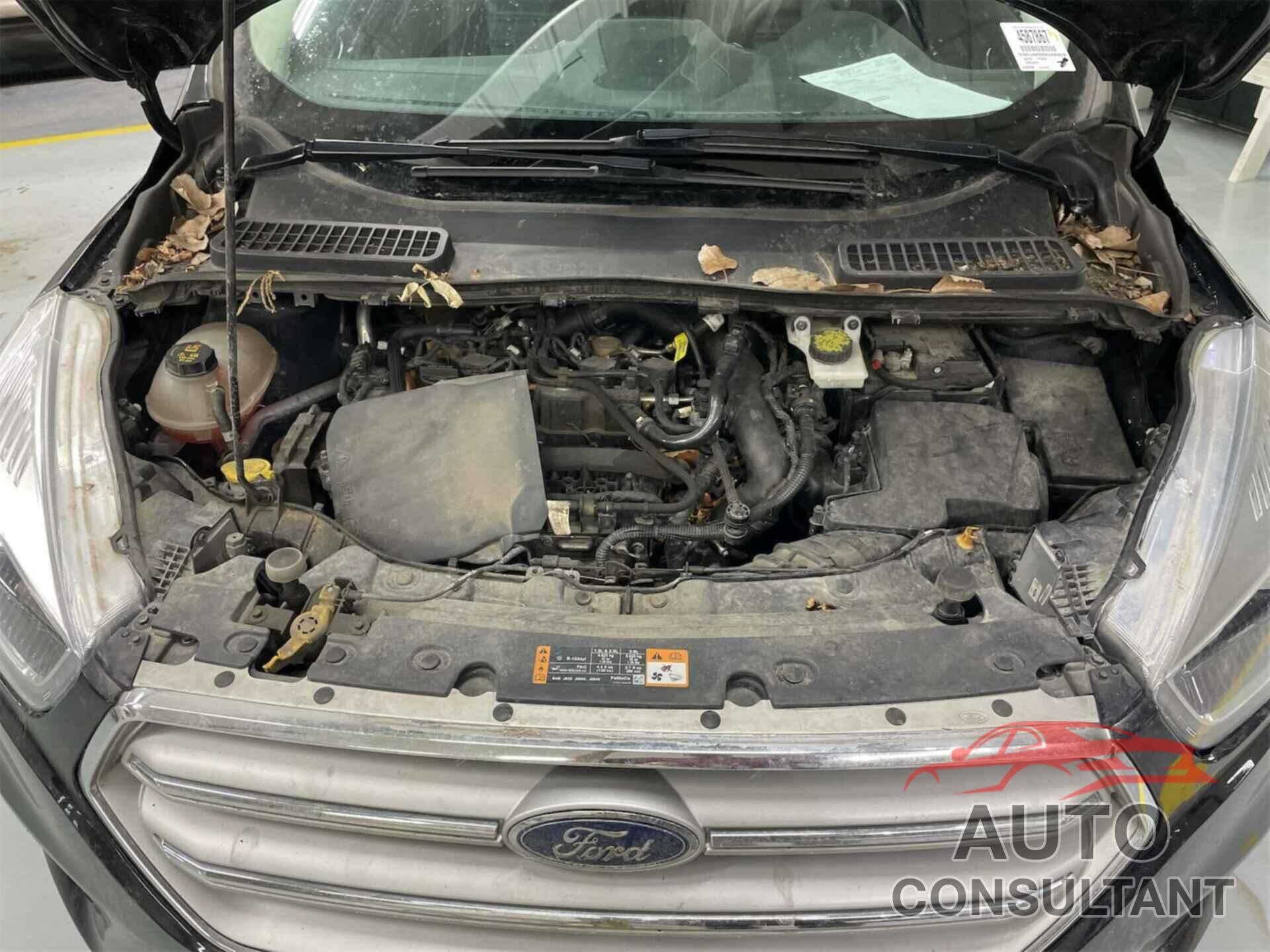 FORD ESCAPE 2019 - 1FMCU9HD0KUA65628