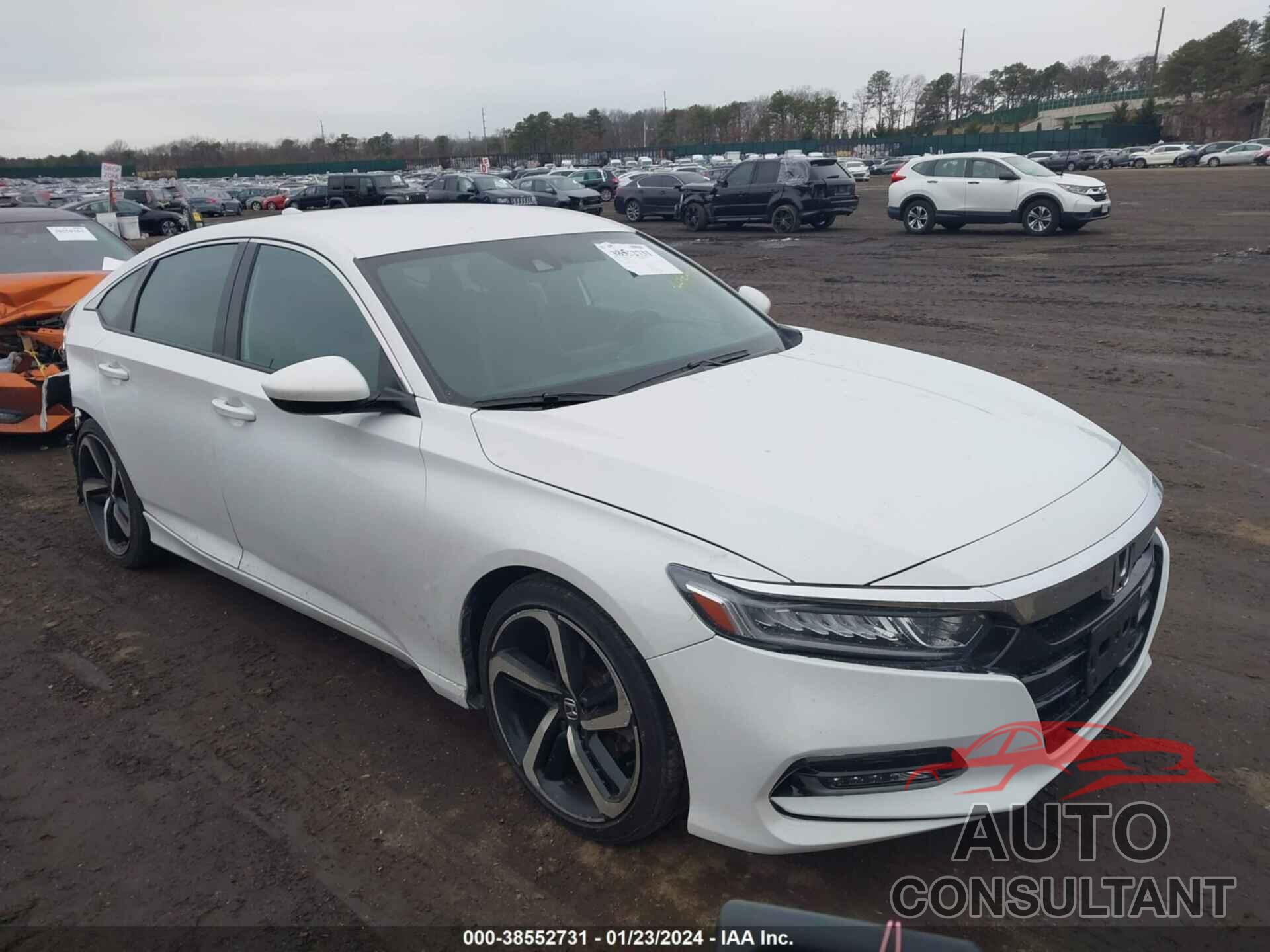 HONDA ACCORD 2019 - 1HGCV1F3XKA046939