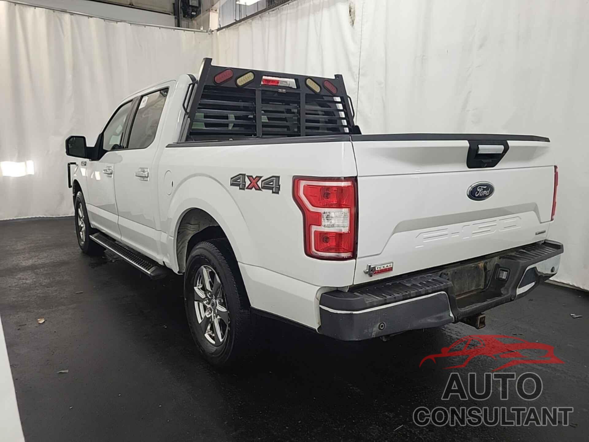 FORD F150 2019 - 1FTEW1E45KFA43402