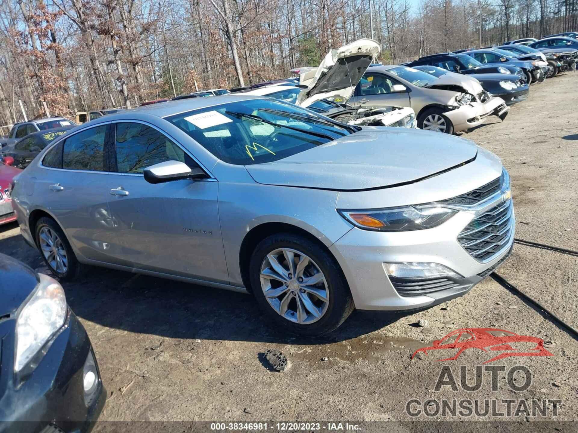 CHEVROLET MALIBU 2019 - 1G1ZD5ST7KF177296