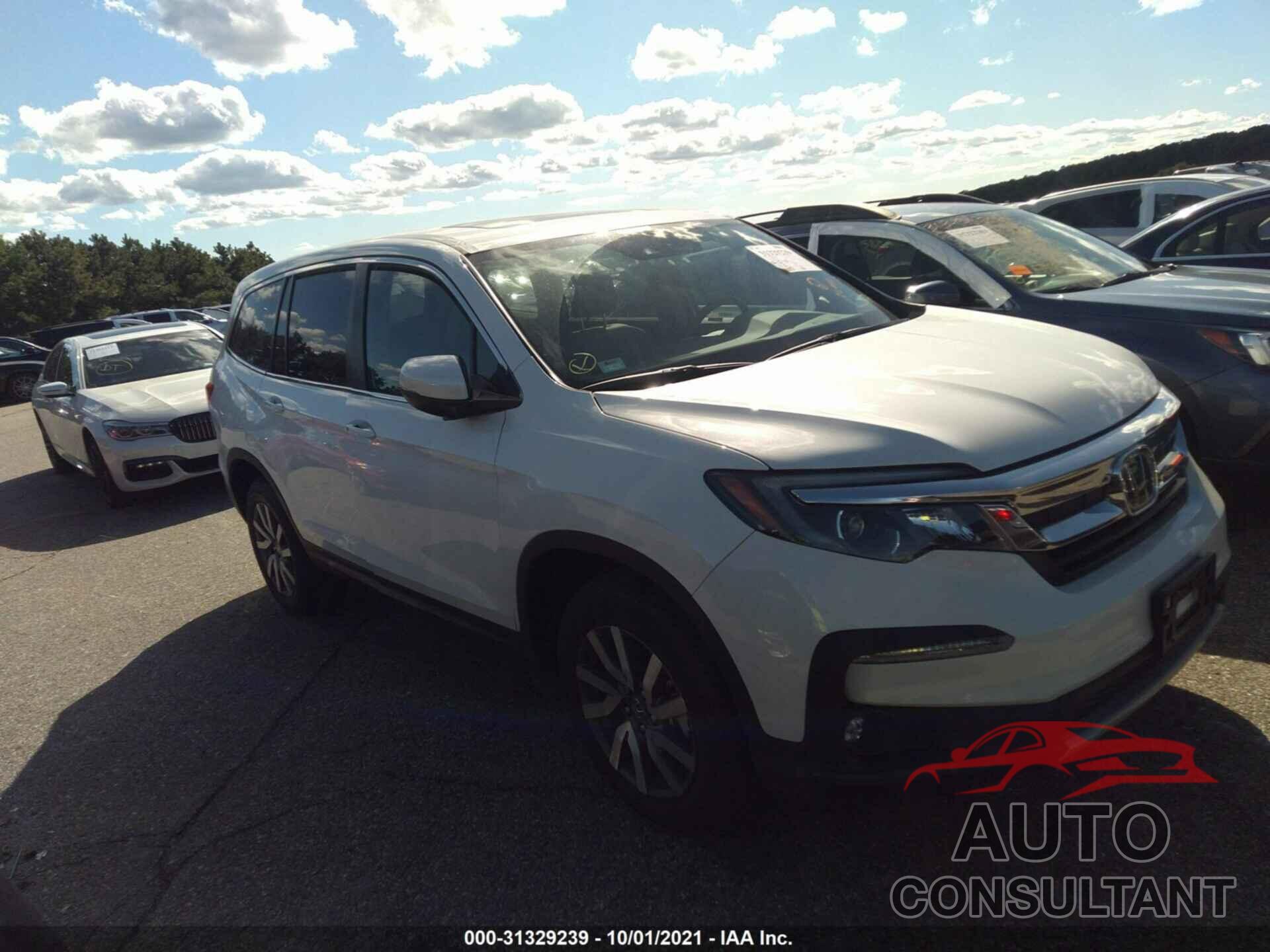 HONDA PILOT 2021 - 5FNYF6H55MB051537
