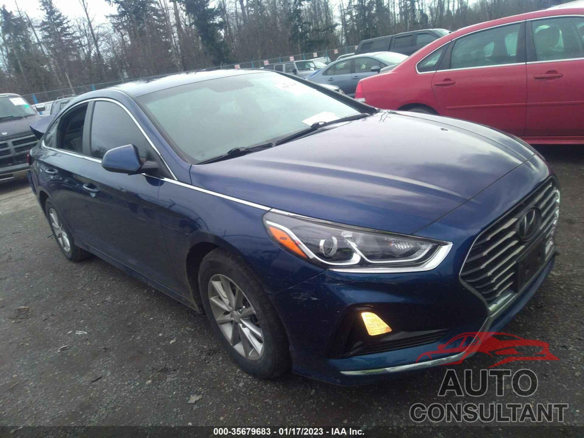 HYUNDAI SONATA 2019 - 5NPE24AF0KH792411
