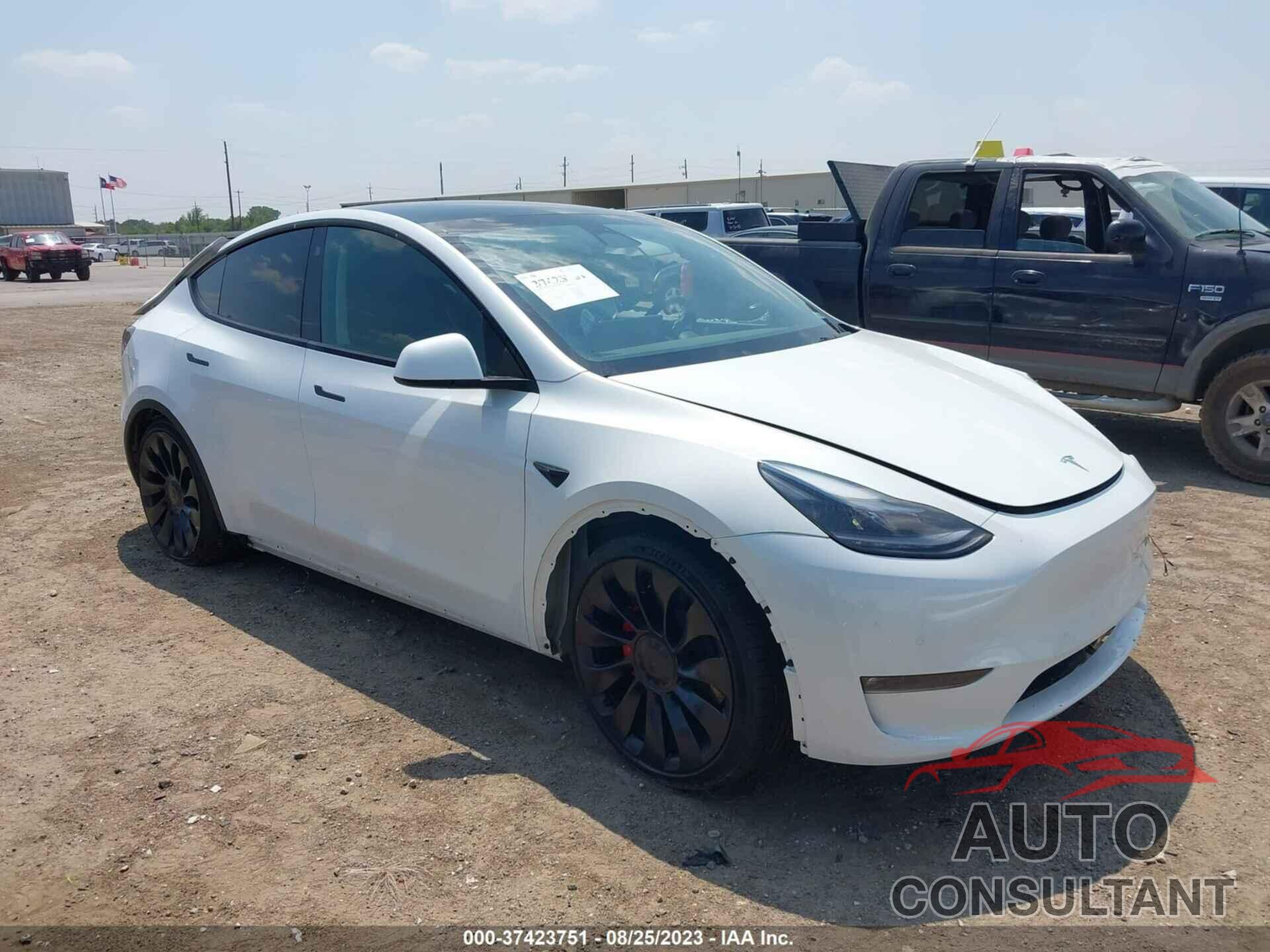 TESLA MODEL Y 2022 - 7SAYGDEF7NF543912