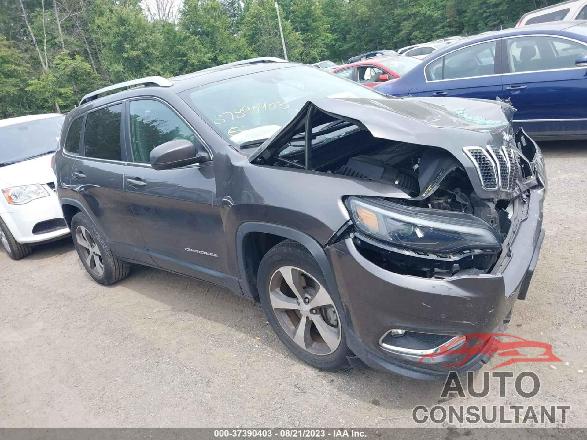 JEEP CHEROKEE 2020 - 1C4PJMDN5LD554866