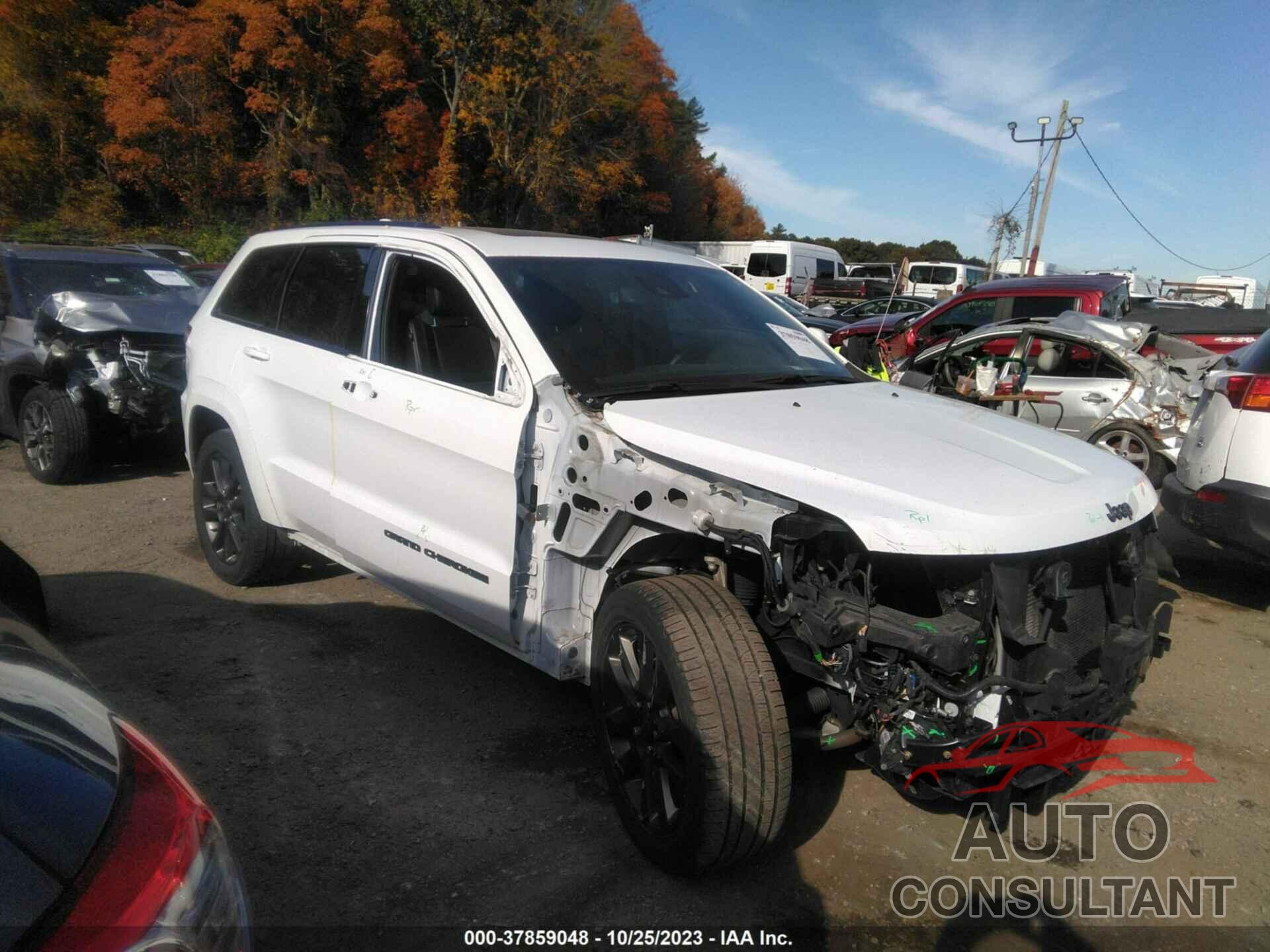 JEEP GRAND CHEROKEE 2019 - 1C4RJFCG2KC619717