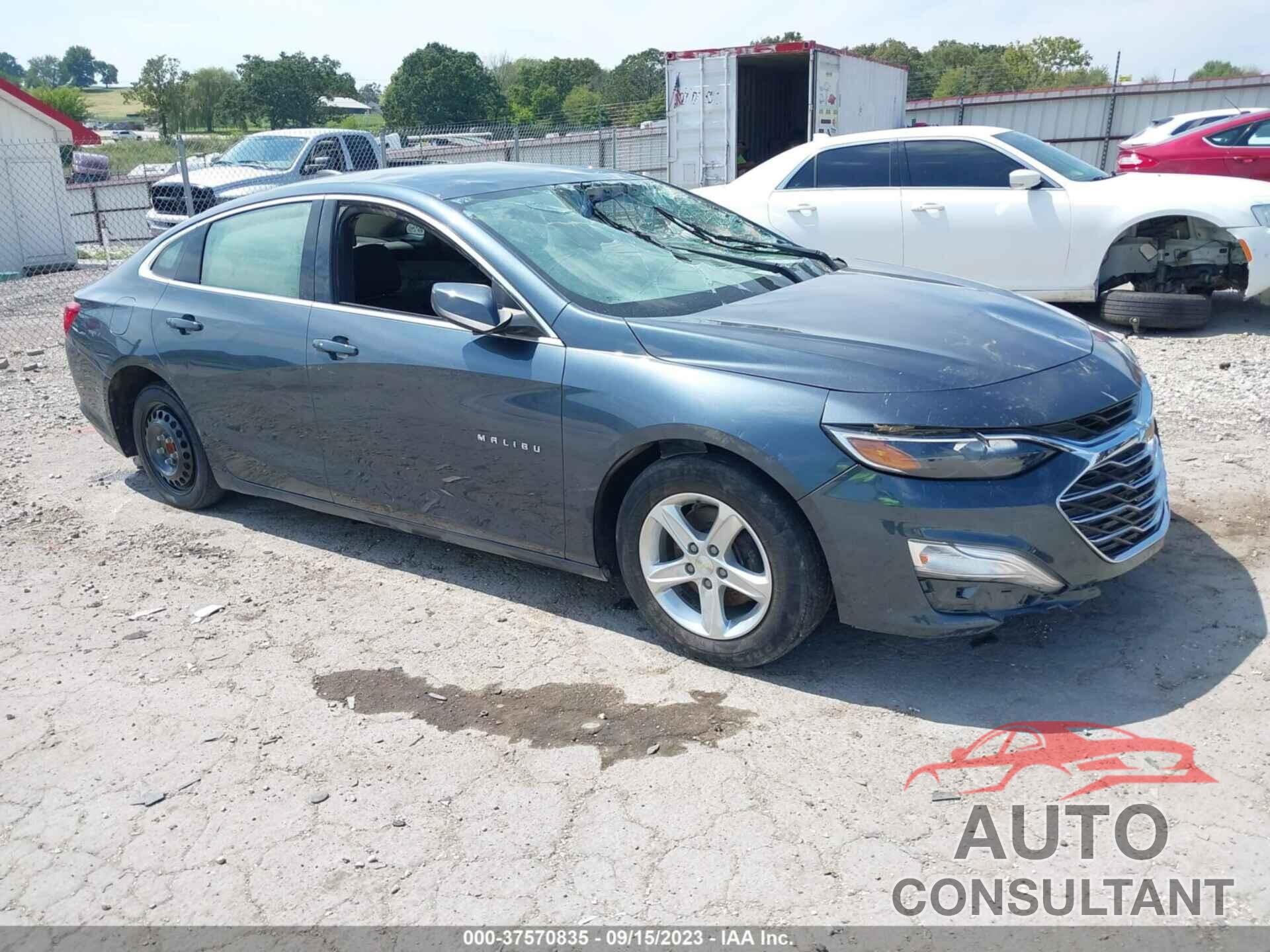 CHEVROLET MALIBU 2019 - 1G1ZC5ST8KF172322