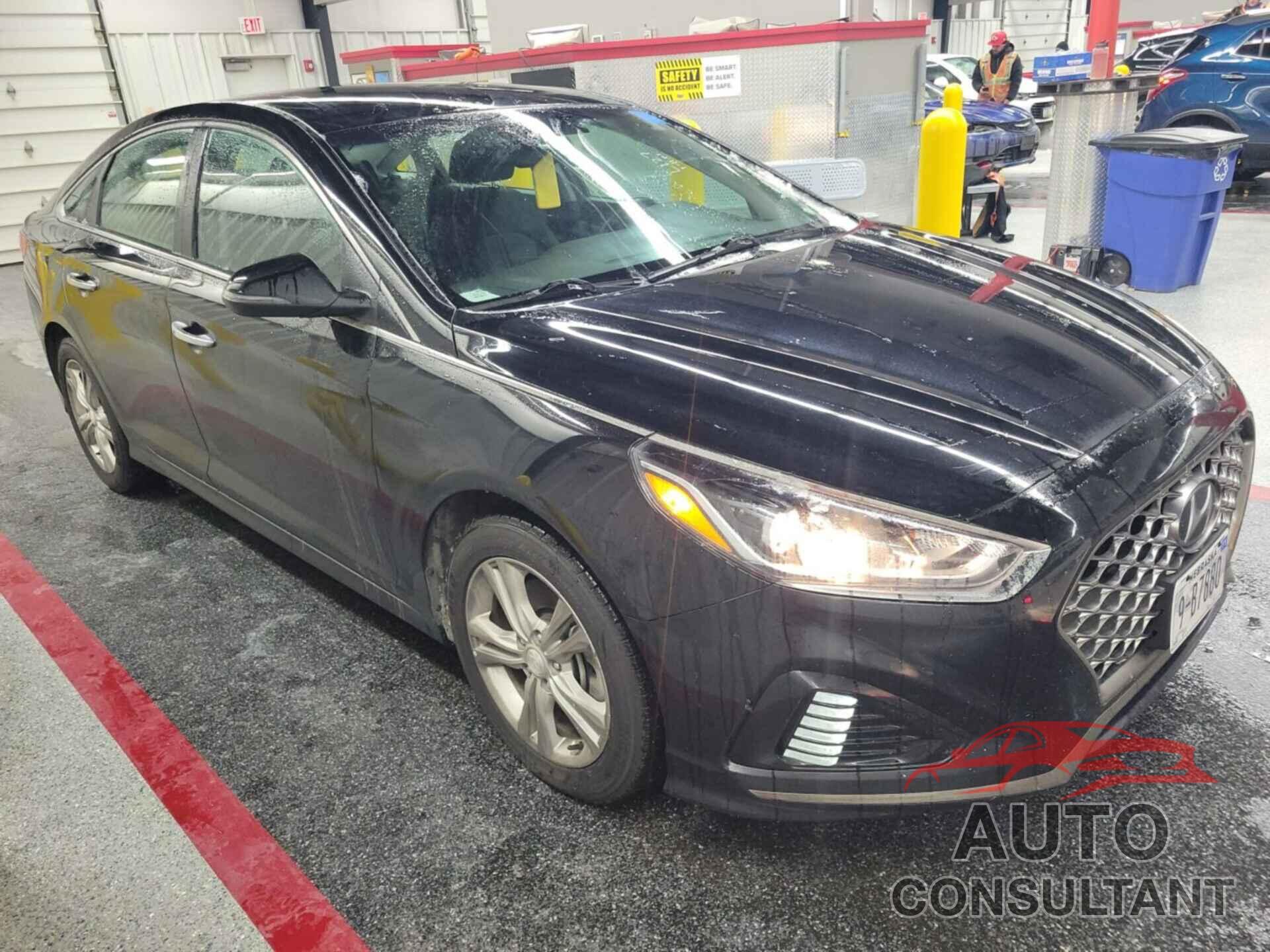 HYUNDAI SONATA 2019 - 5NPE34AFXKH752382