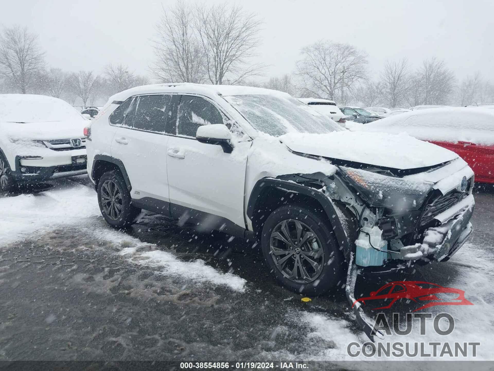 TOYOTA RAV4 2023 - 4T3D6RFV0PU116117