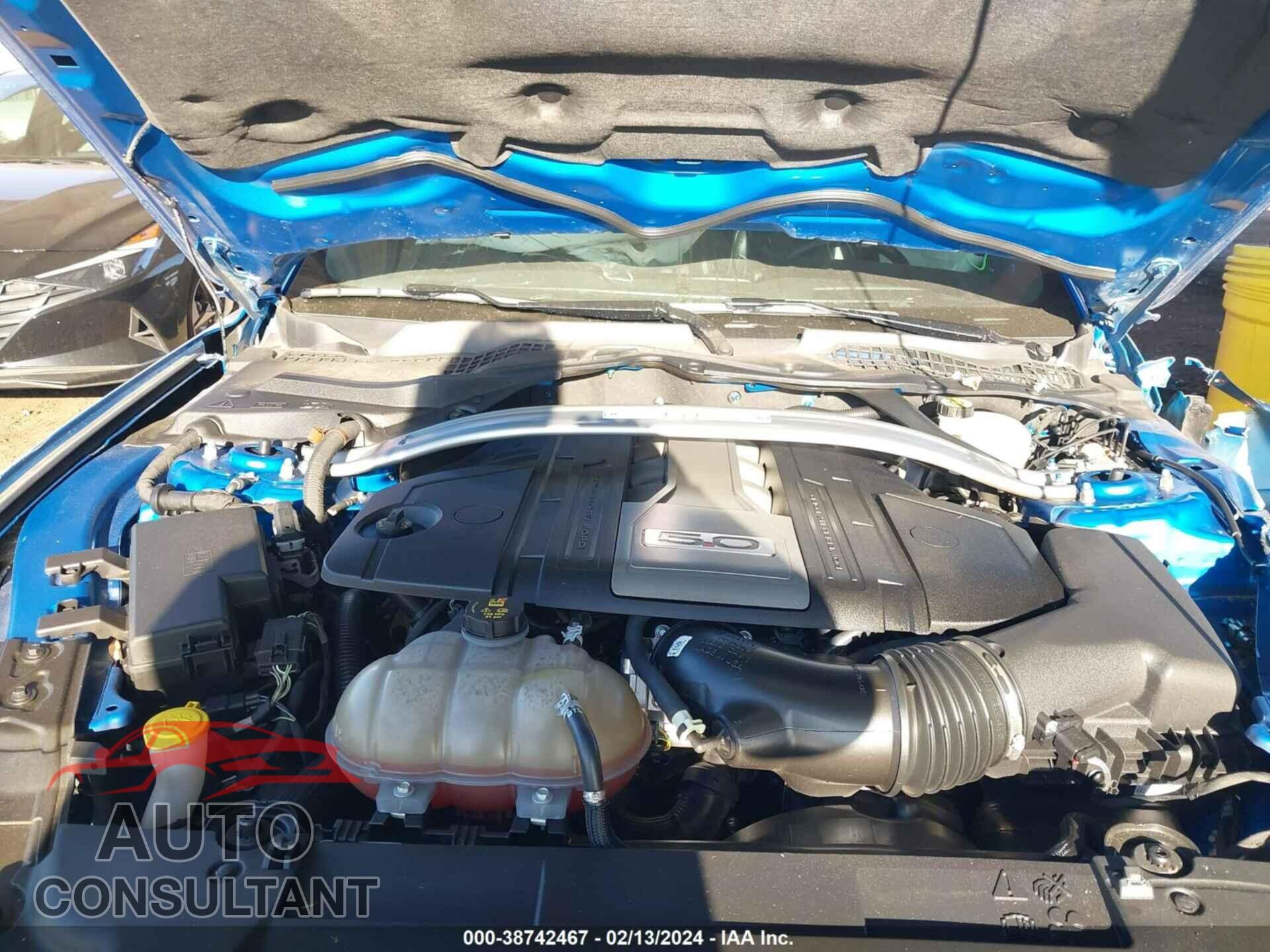 FORD MUSTANG 2019 - 1FA6P8CF7K5113086