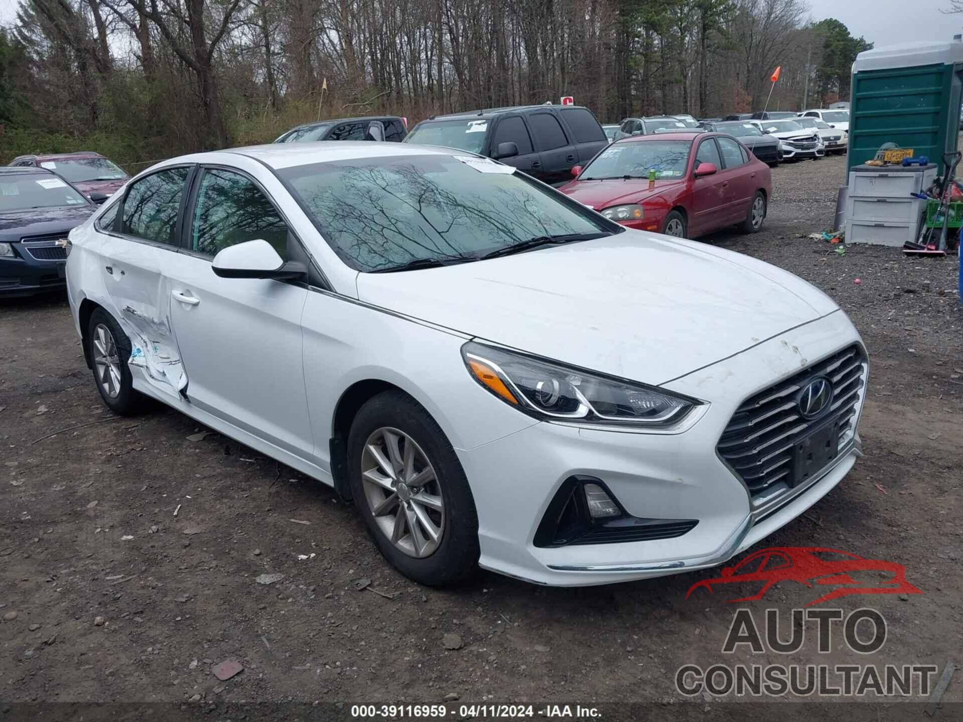 HYUNDAI SONATA 2019 - 5NPE24AF6KH736490