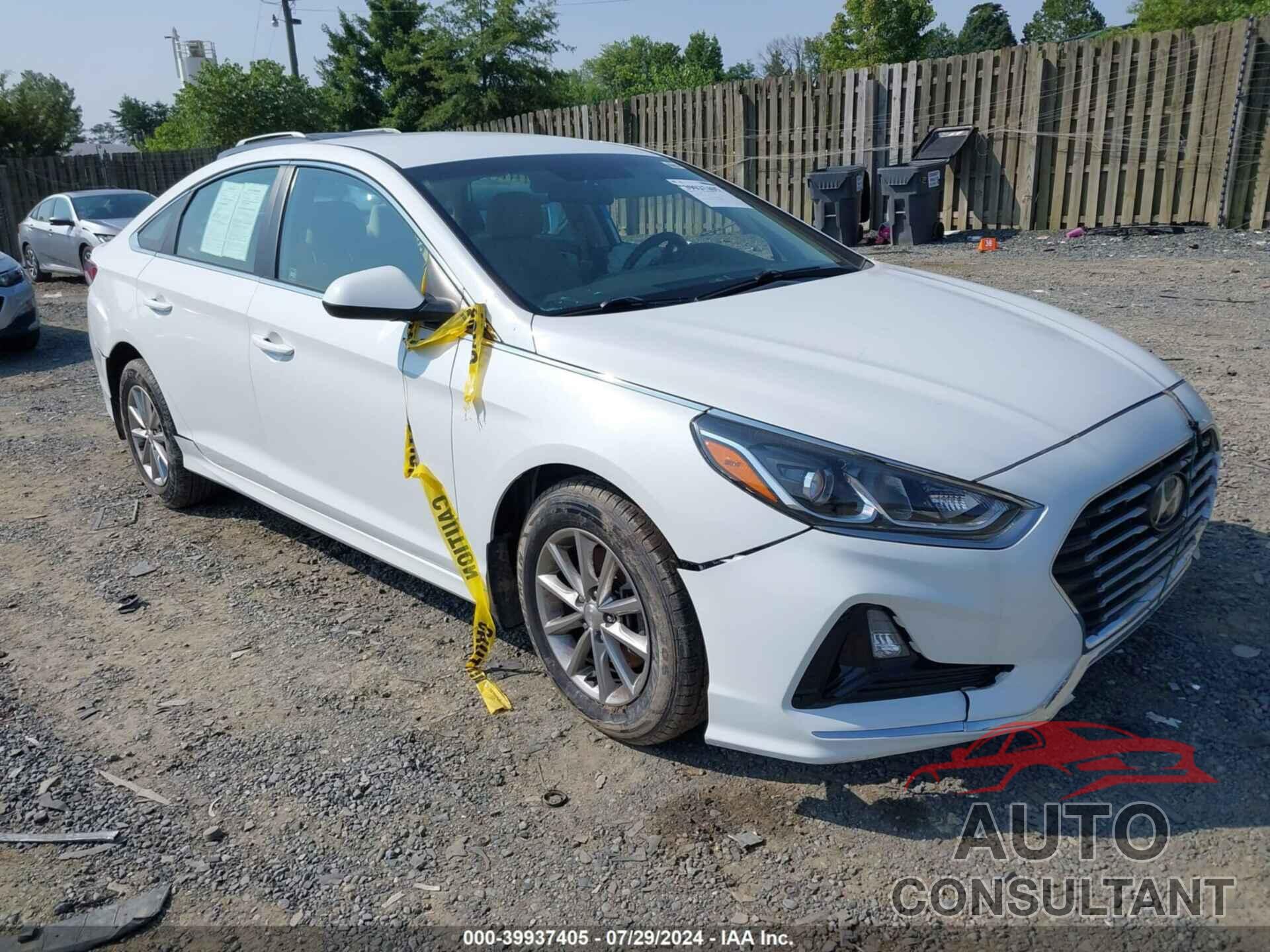 HYUNDAI SONATA 2019 - 5NPE24AFXKH735584