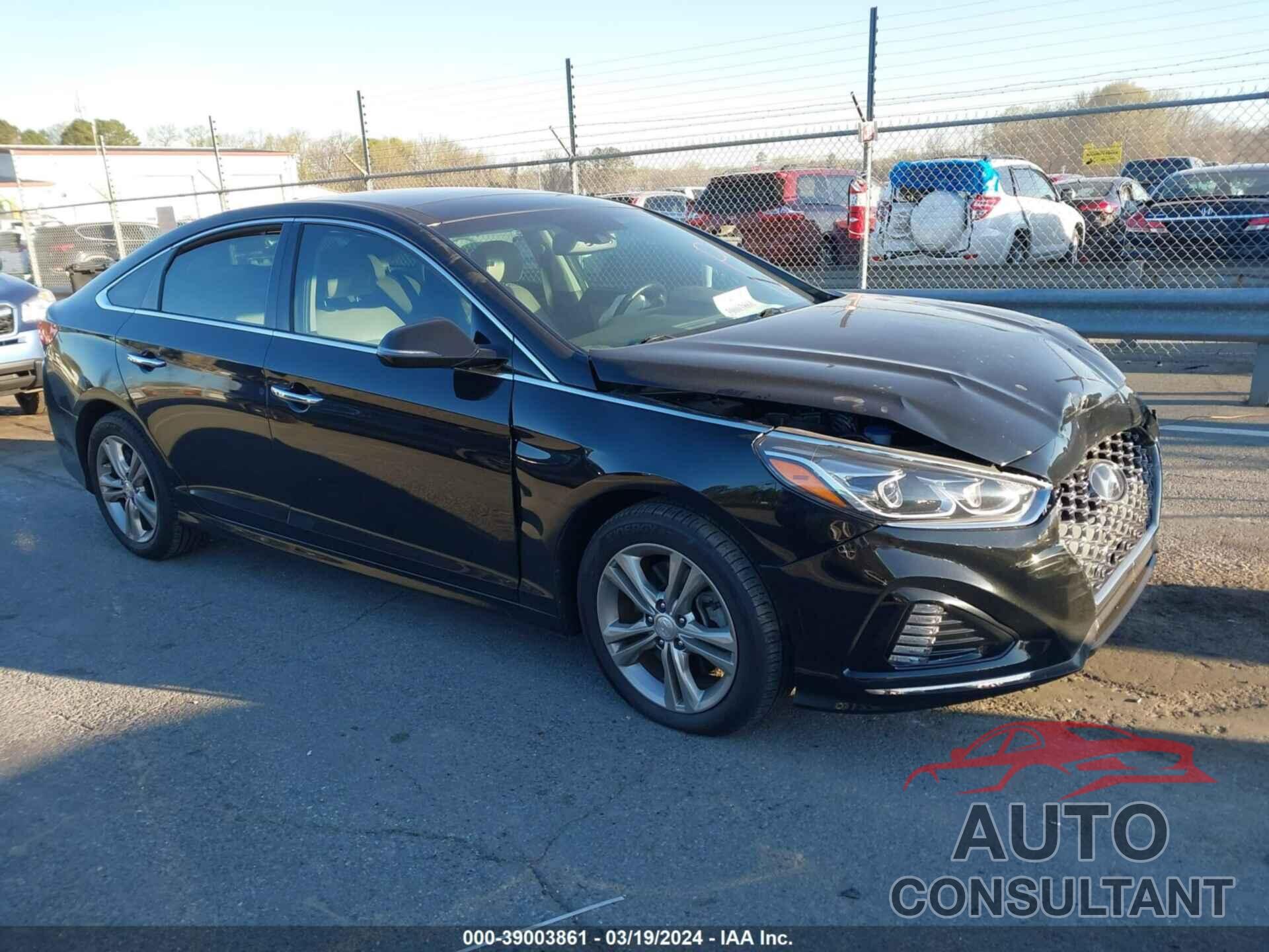 HYUNDAI SONATA 2019 - 5NPE34AF2KH741828