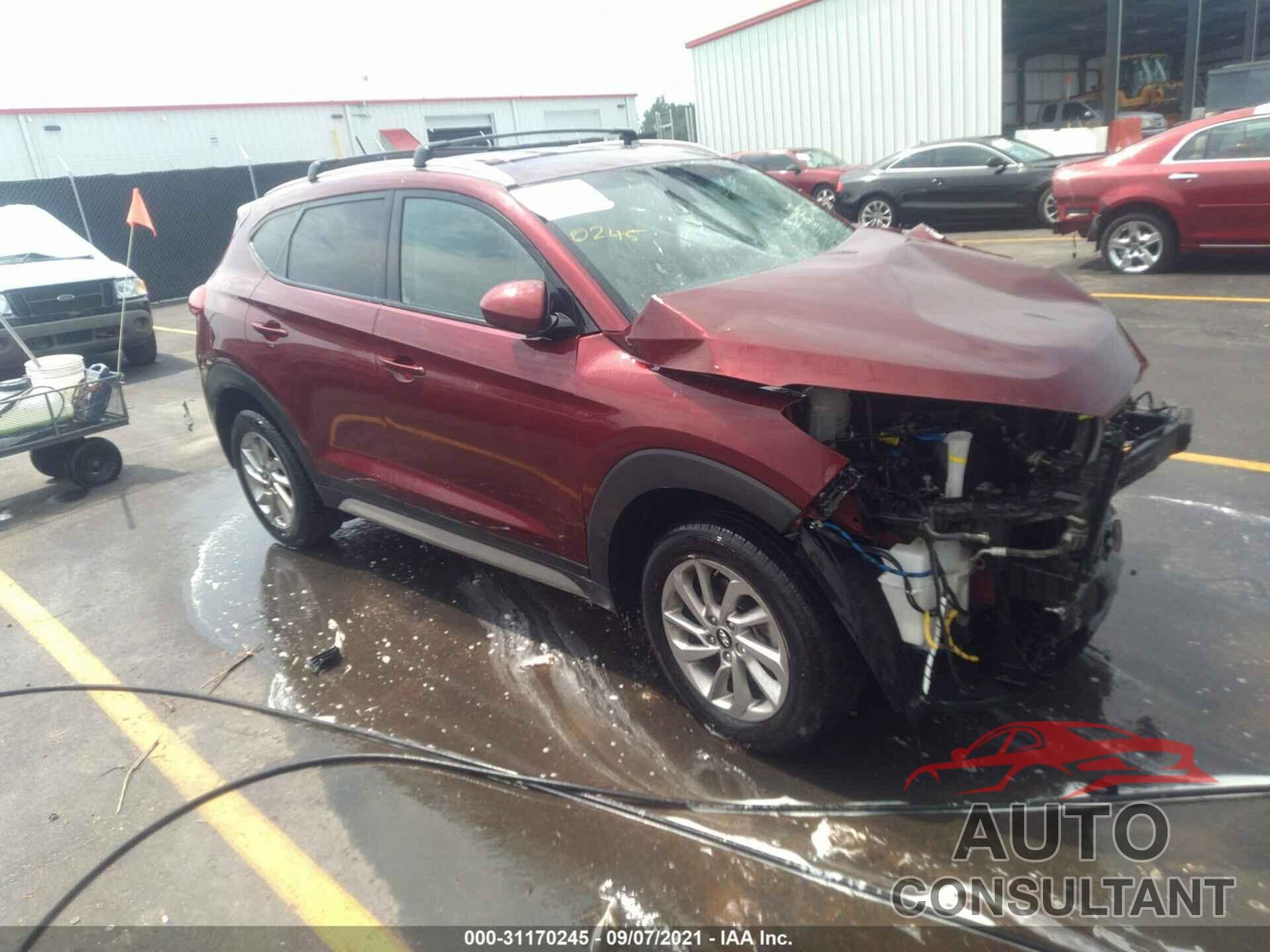 HYUNDAI TUCSON 2017 - KM8J33A43HU575580