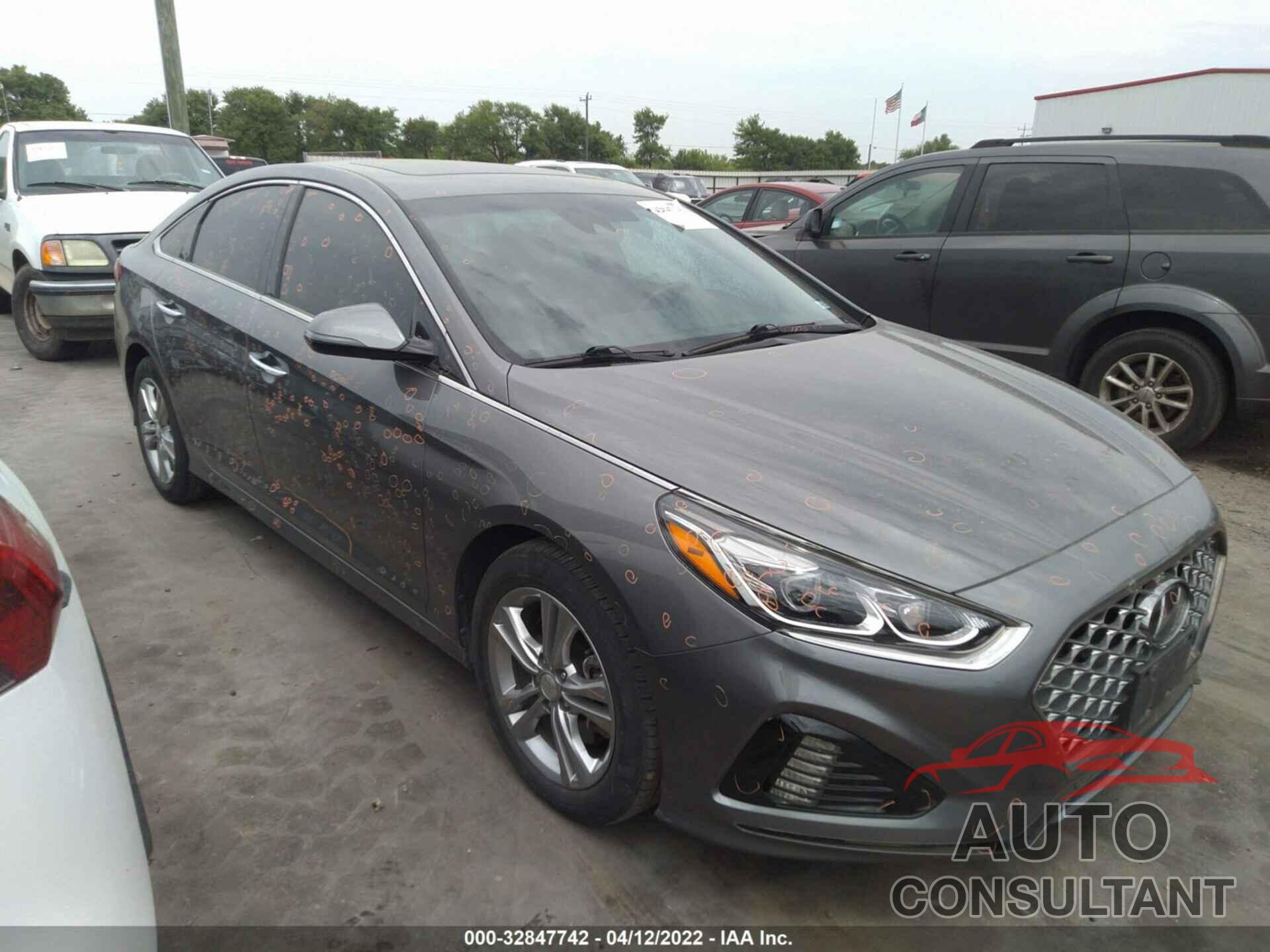 HYUNDAI SONATA 2019 - 5NPE34AF1KH821640