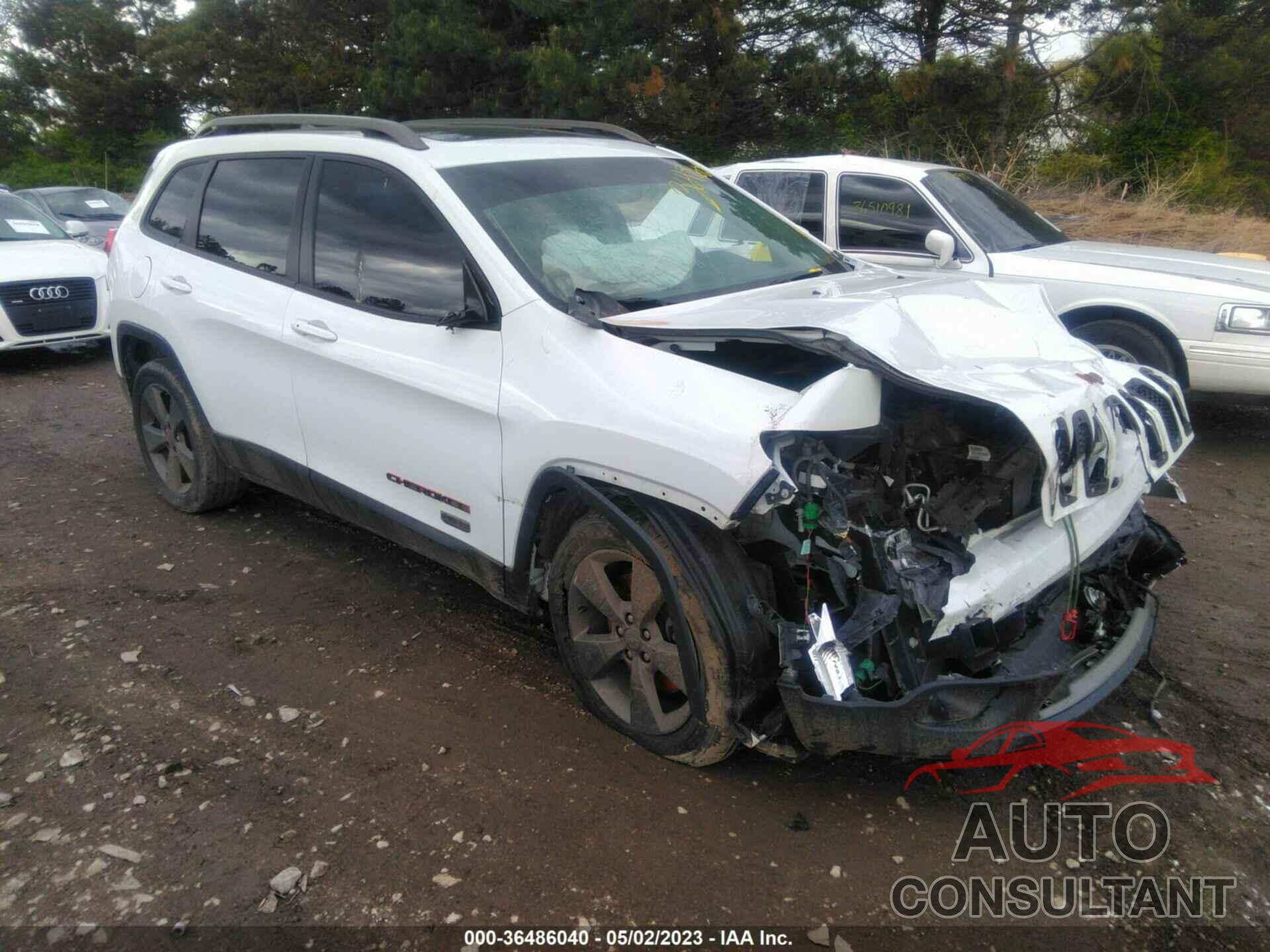 JEEP CHEROKEE 2016 - 1C4PJLCB2GW302312