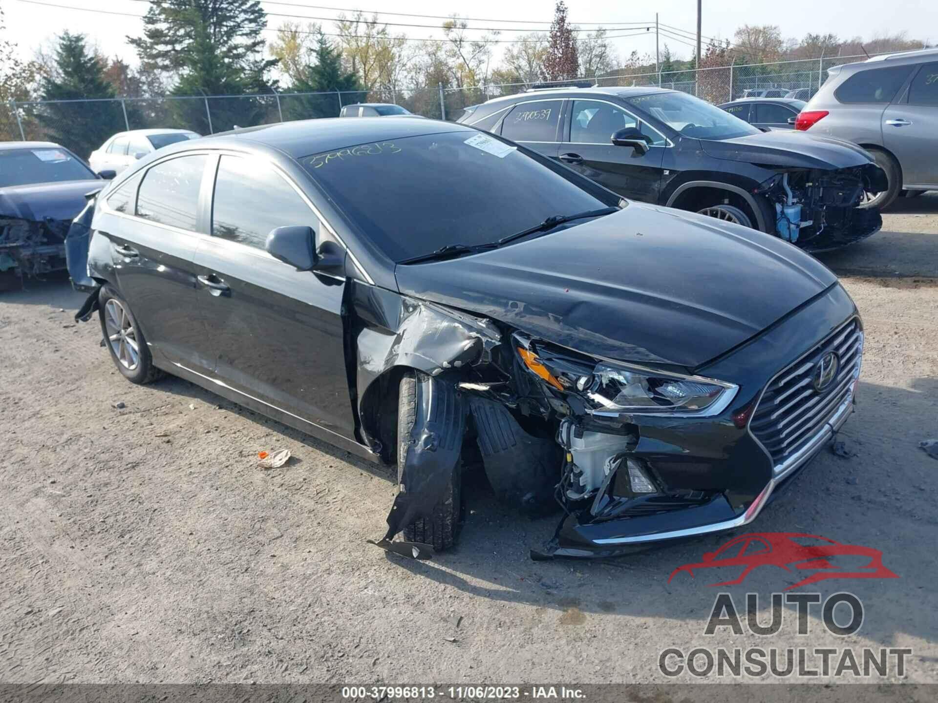 HYUNDAI SONATA 2019 - 5NPE24AF3KH752873