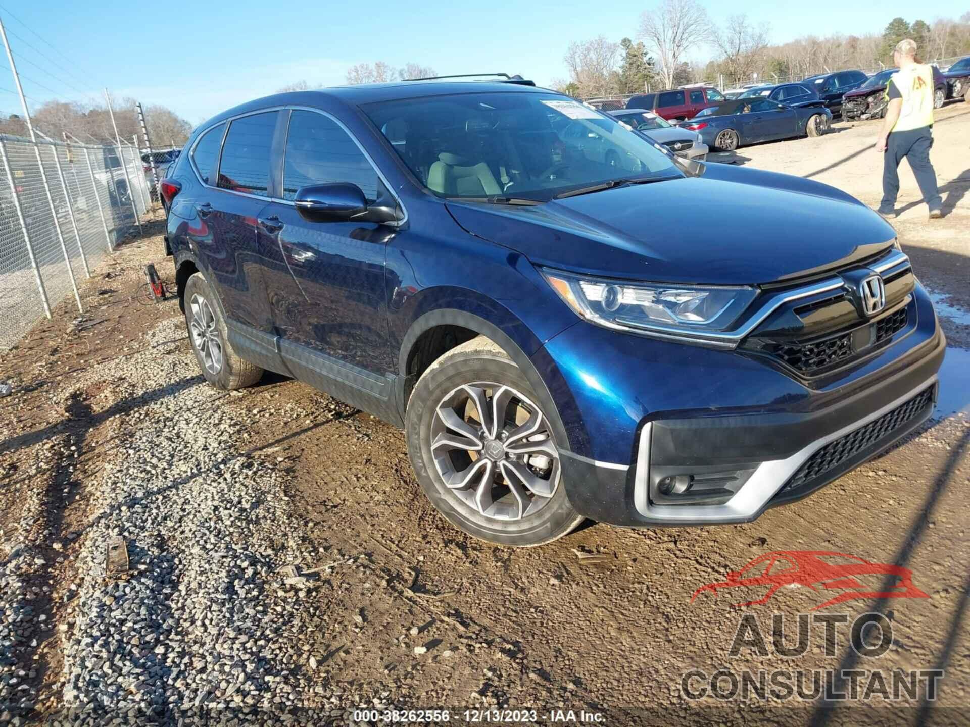 HONDA CR-V 2022 - 5J6RW1H81NA009954