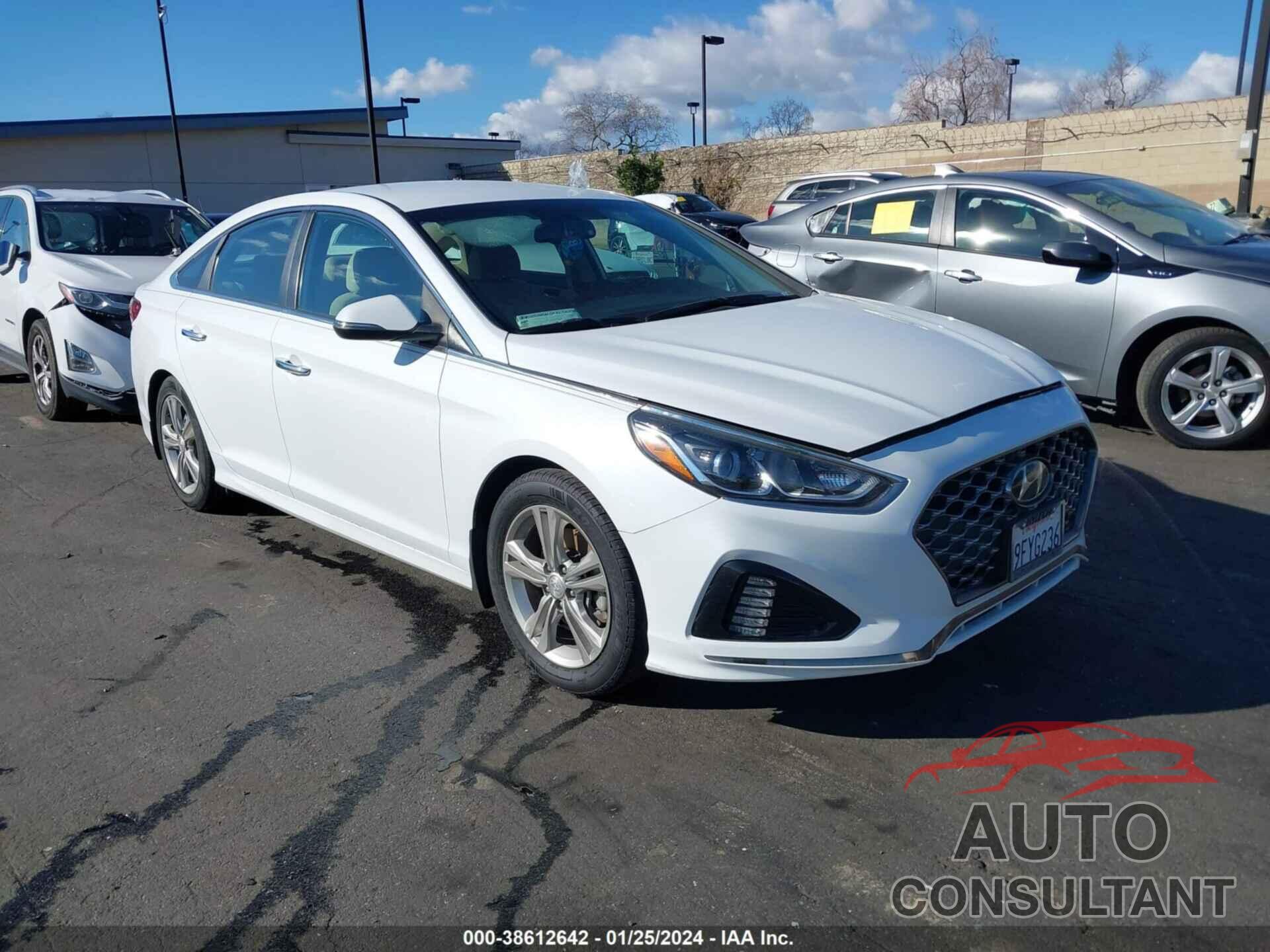 HYUNDAI SONATA 2019 - 5NPE34AF1KH803509