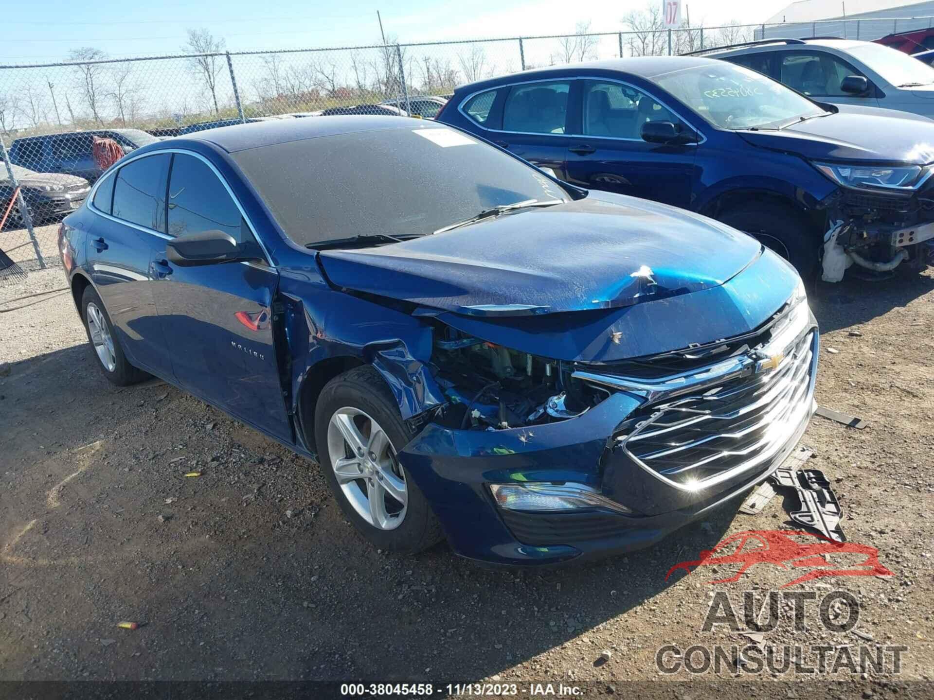 CHEVROLET MALIBU 2019 - 1G1ZB5ST5KF173320