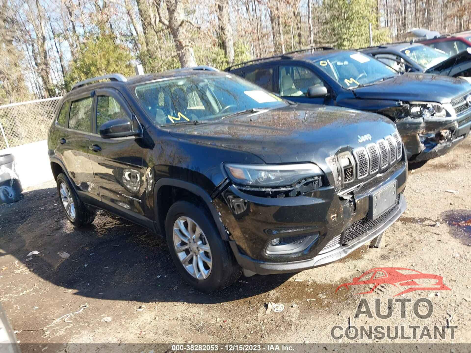 JEEP CHEROKEE 2019 - 1C4PJMCX6KD102703