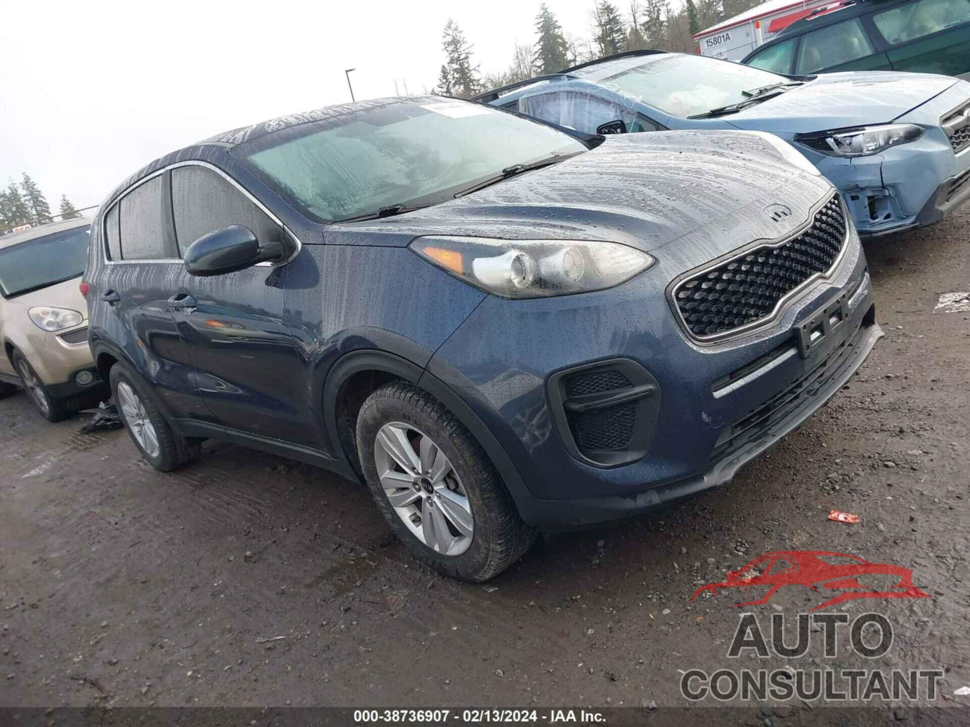 KIA SPORTAGE 2017 - KNDPM3AC7H7228528