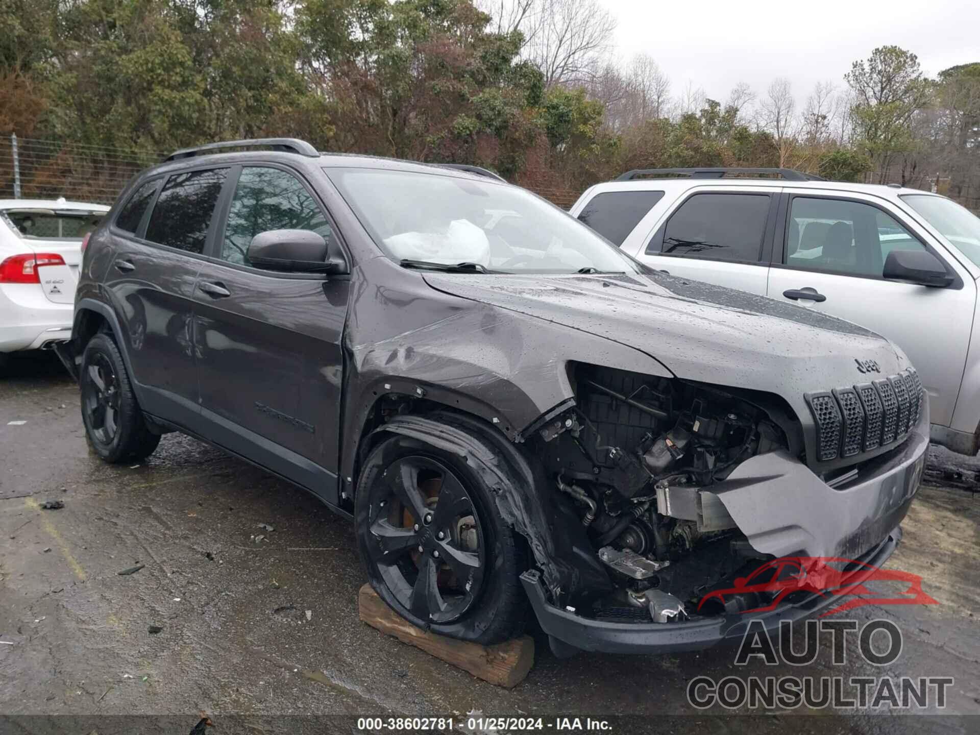 JEEP CHEROKEE 2019 - 1C4PJLLBXKD485236