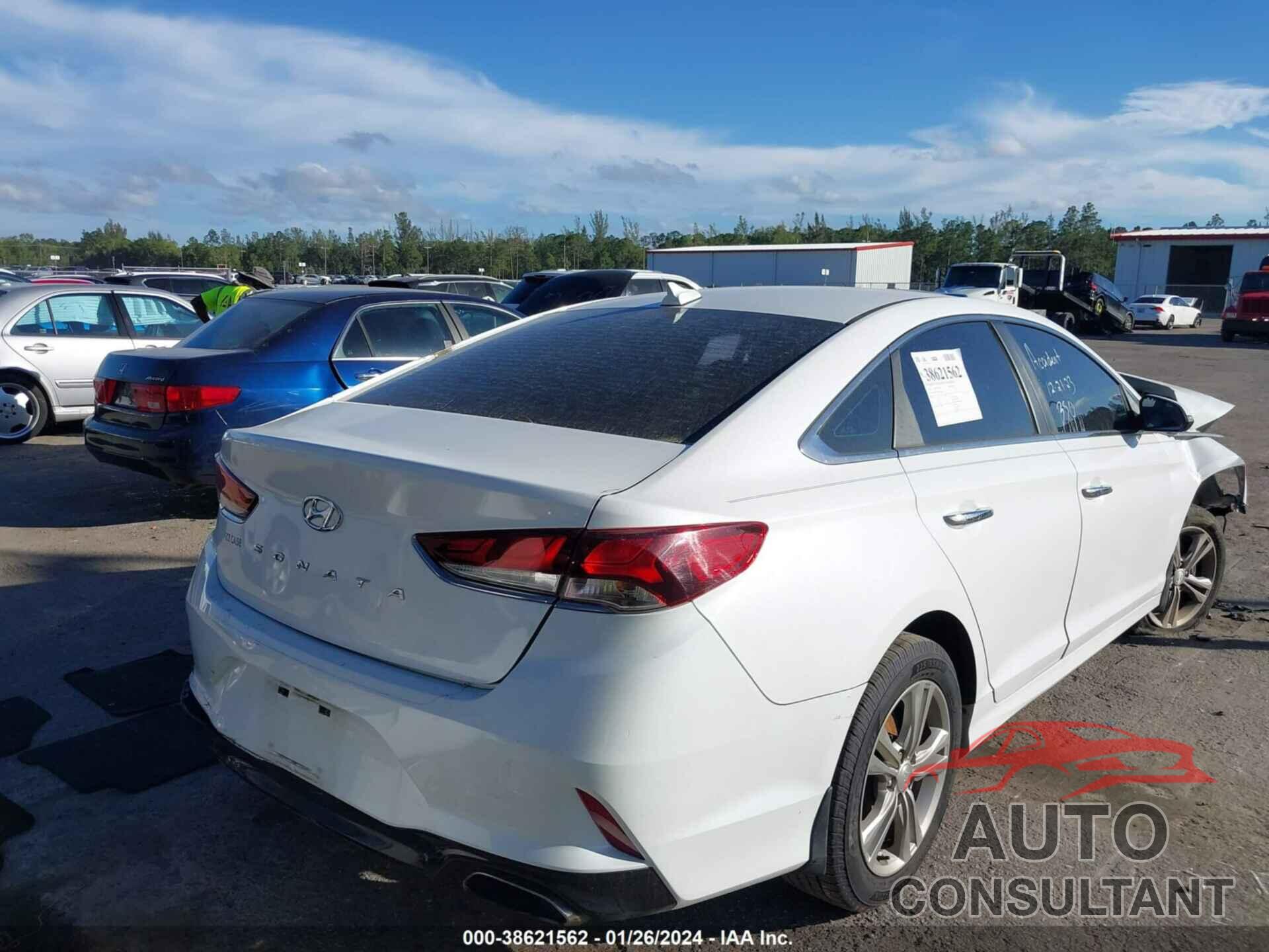 HYUNDAI SONATA 2019 - 5NPE34AF0KH754030