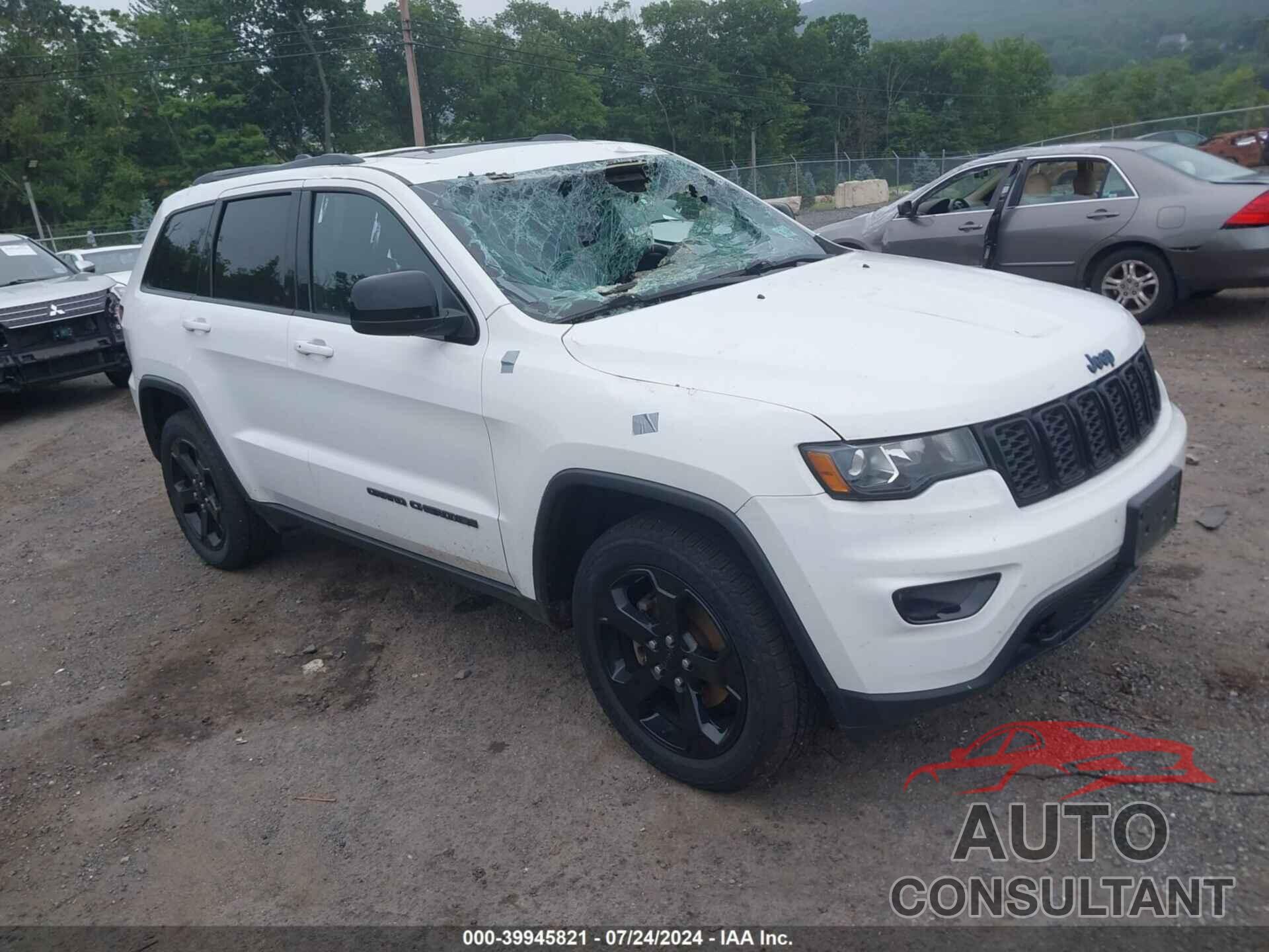 JEEP GRAND CHEROKEE 2019 - 1C4RJFAG7KC843651