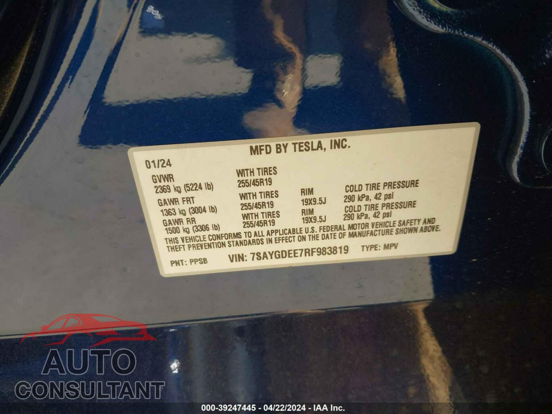 TESLA MODEL Y 2024 - 7SAYGDEE7RF983819