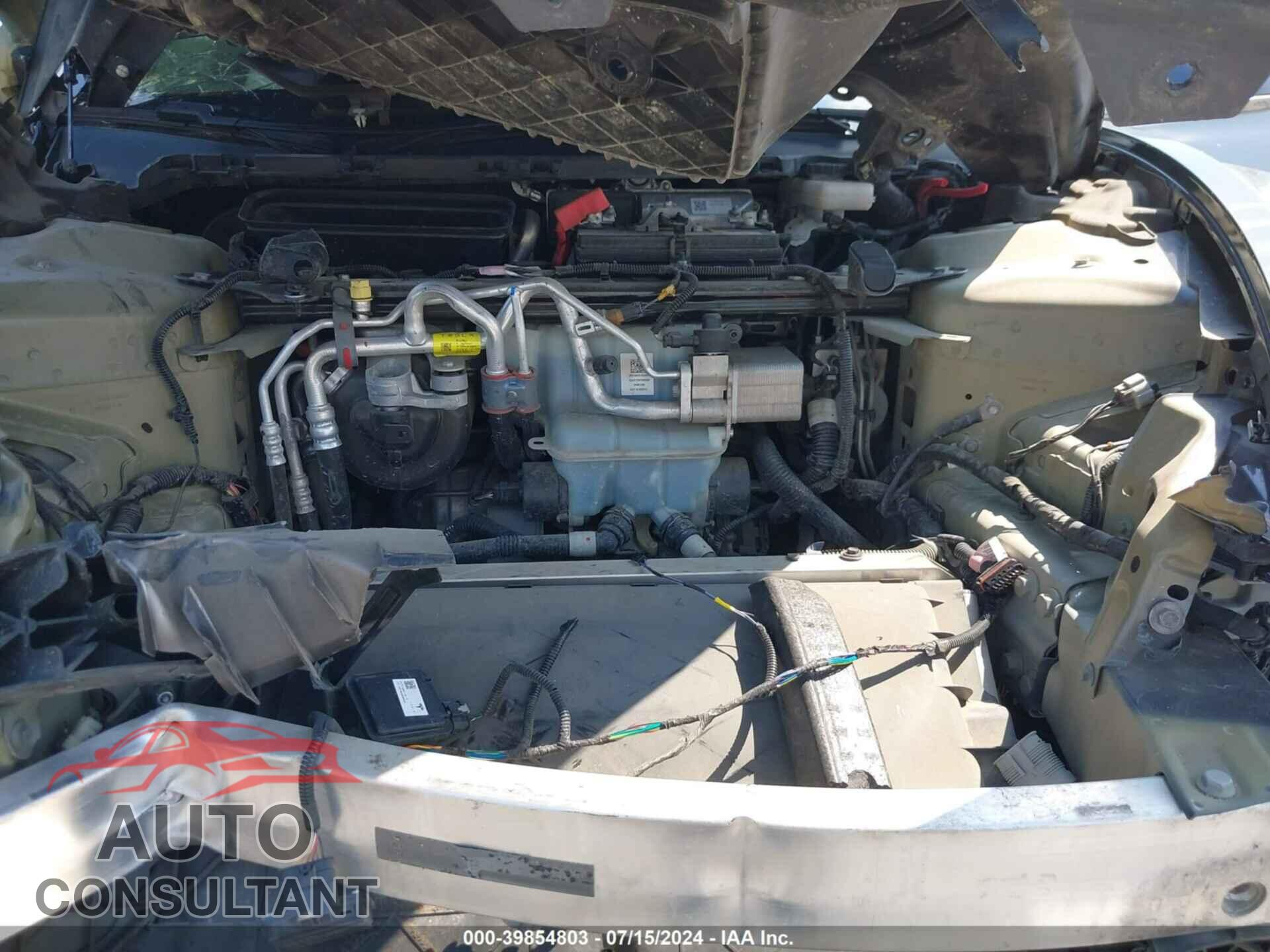 TESLA MODEL 3 2019 - 5YJ3E1EB9KF393676