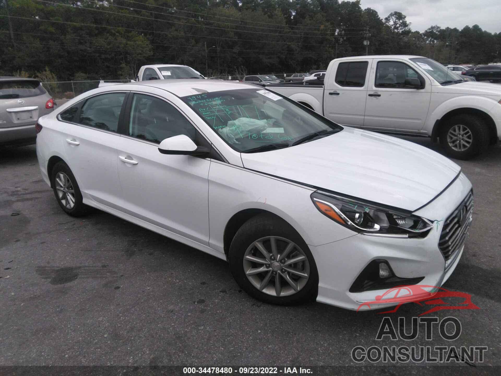 HYUNDAI SONATA 2019 - 5NPE24AF9KH761061