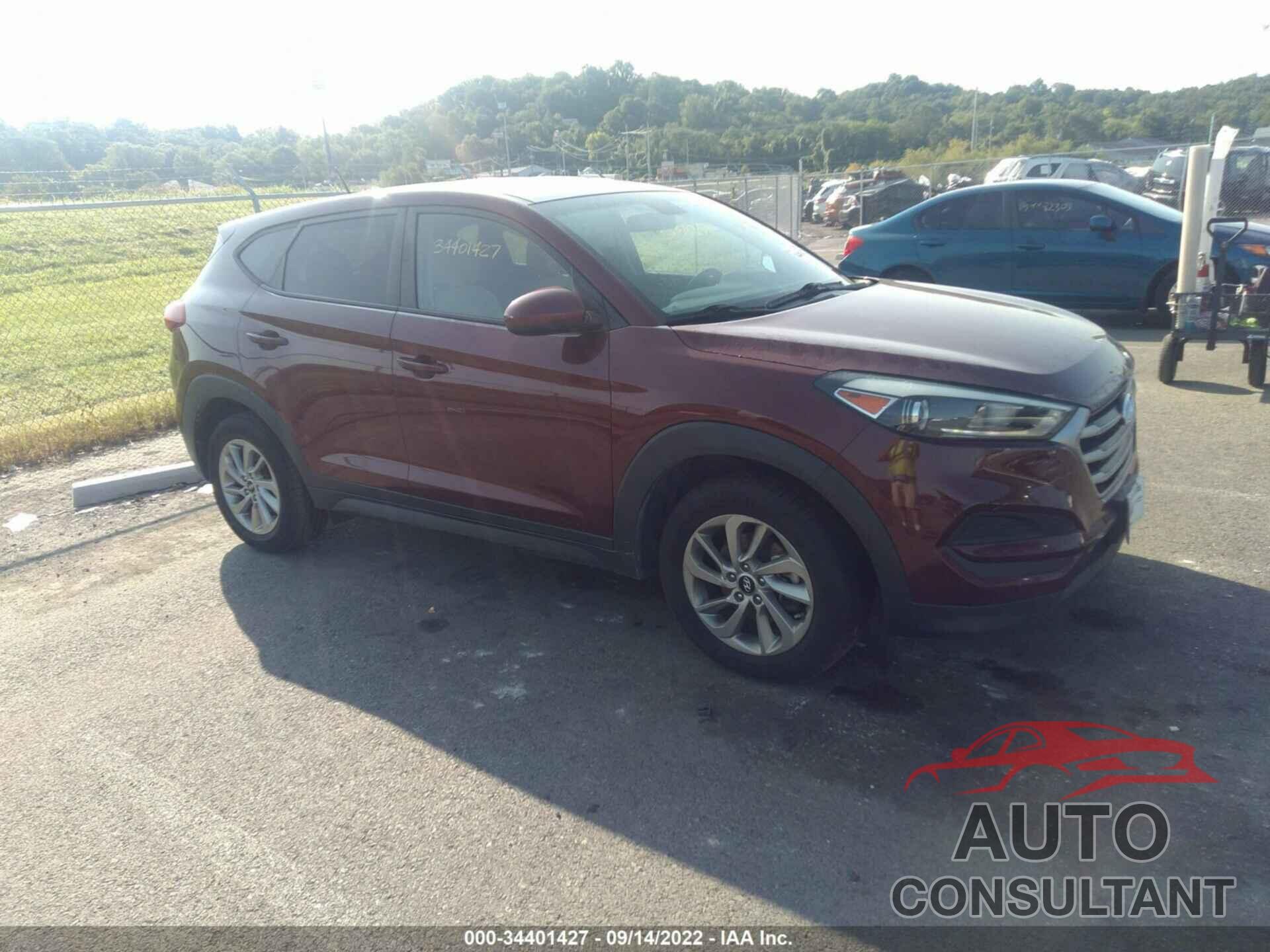 HYUNDAI TUCSON 2017 - KM8J23A46HU328931