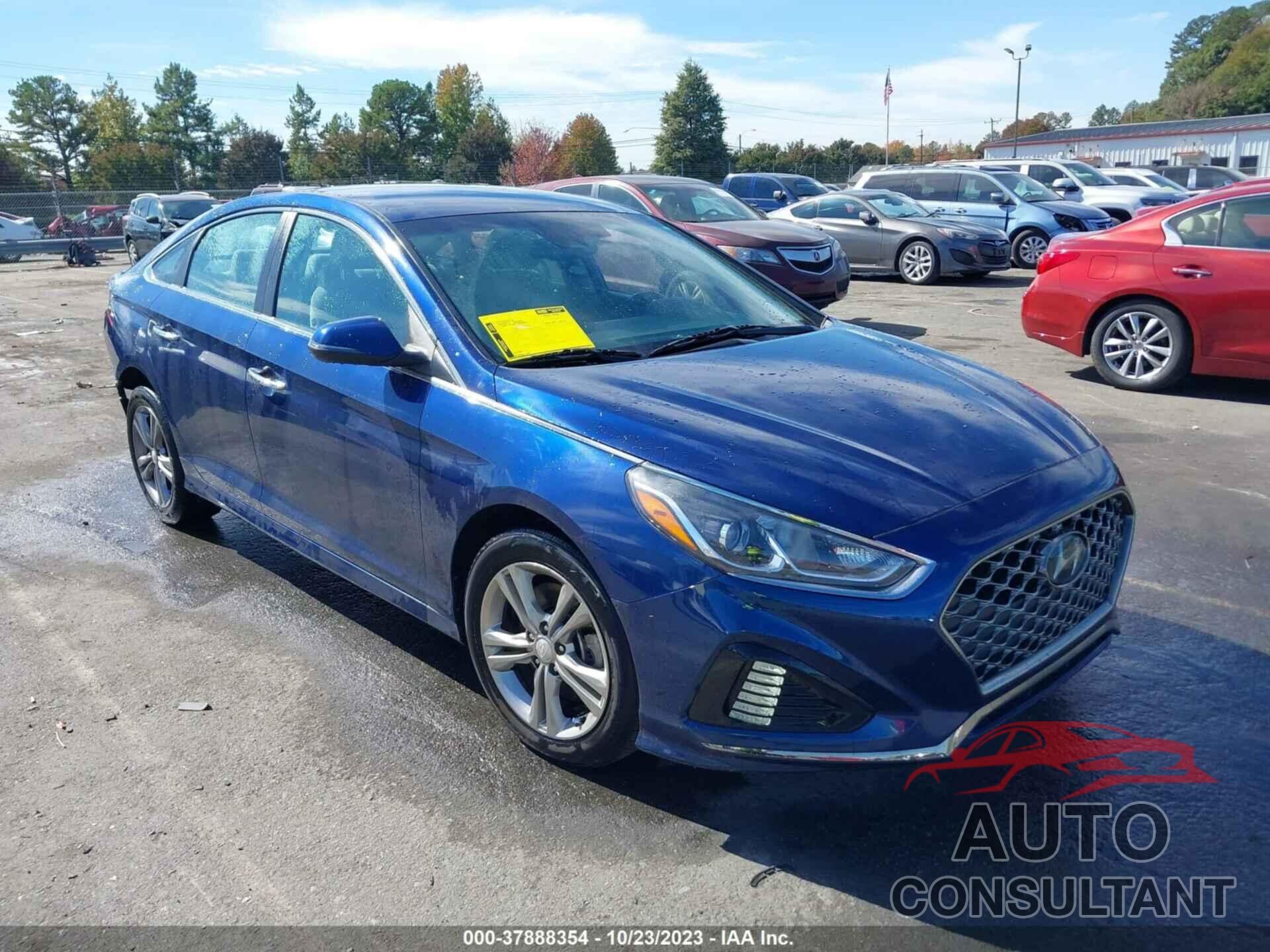 HYUNDAI SONATA 2019 - 5NPE34AF1KH733297