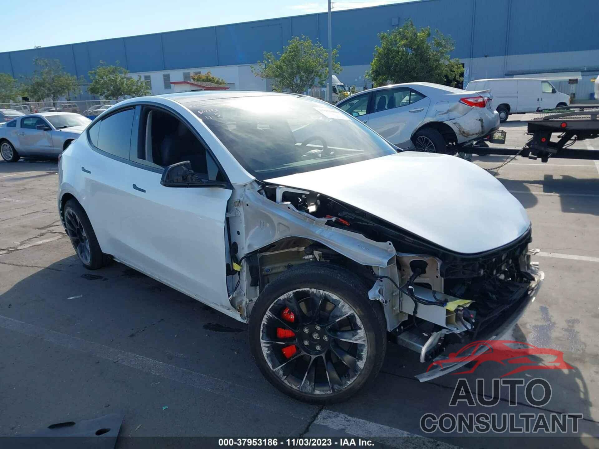 TESLA MODEL Y 2022 - 7SAYGDEE8NF494873