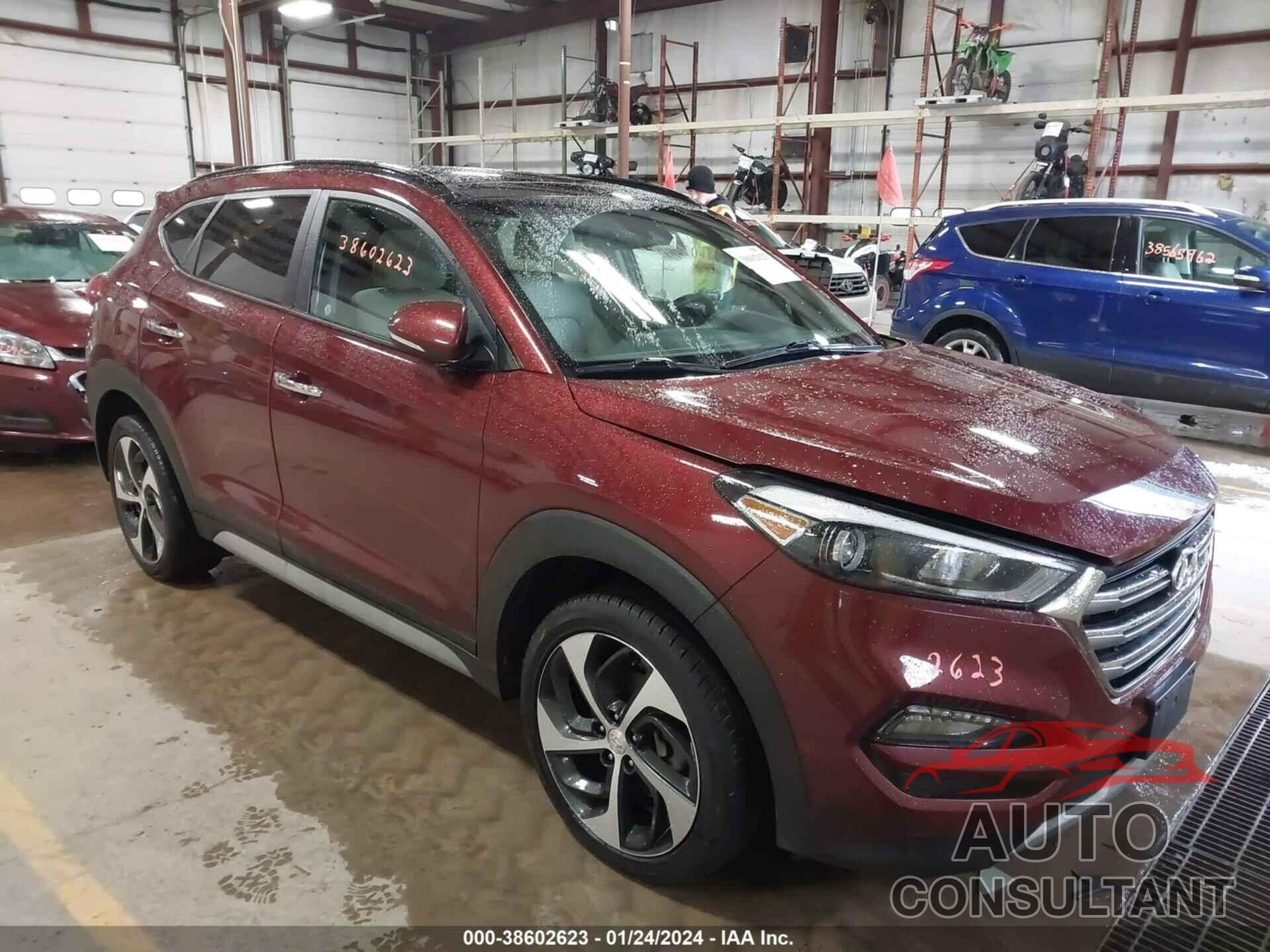 HYUNDAI TUCSON 2017 - KM8J3CA29HU531839