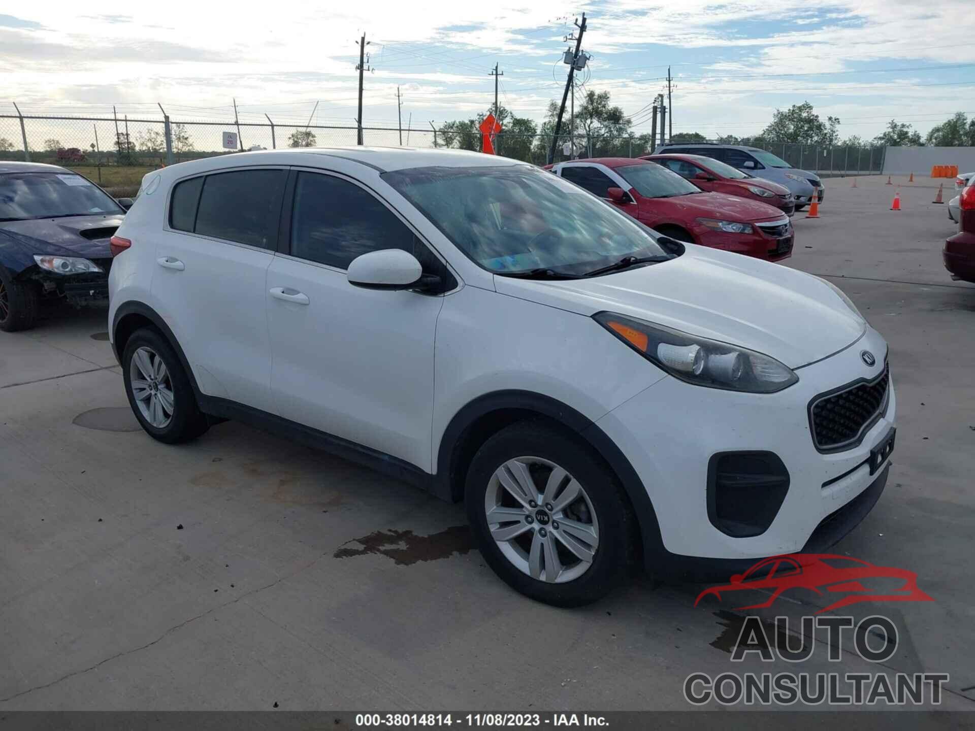 KIA SPORTAGE 2019 - KNDPM3AC2K7517453