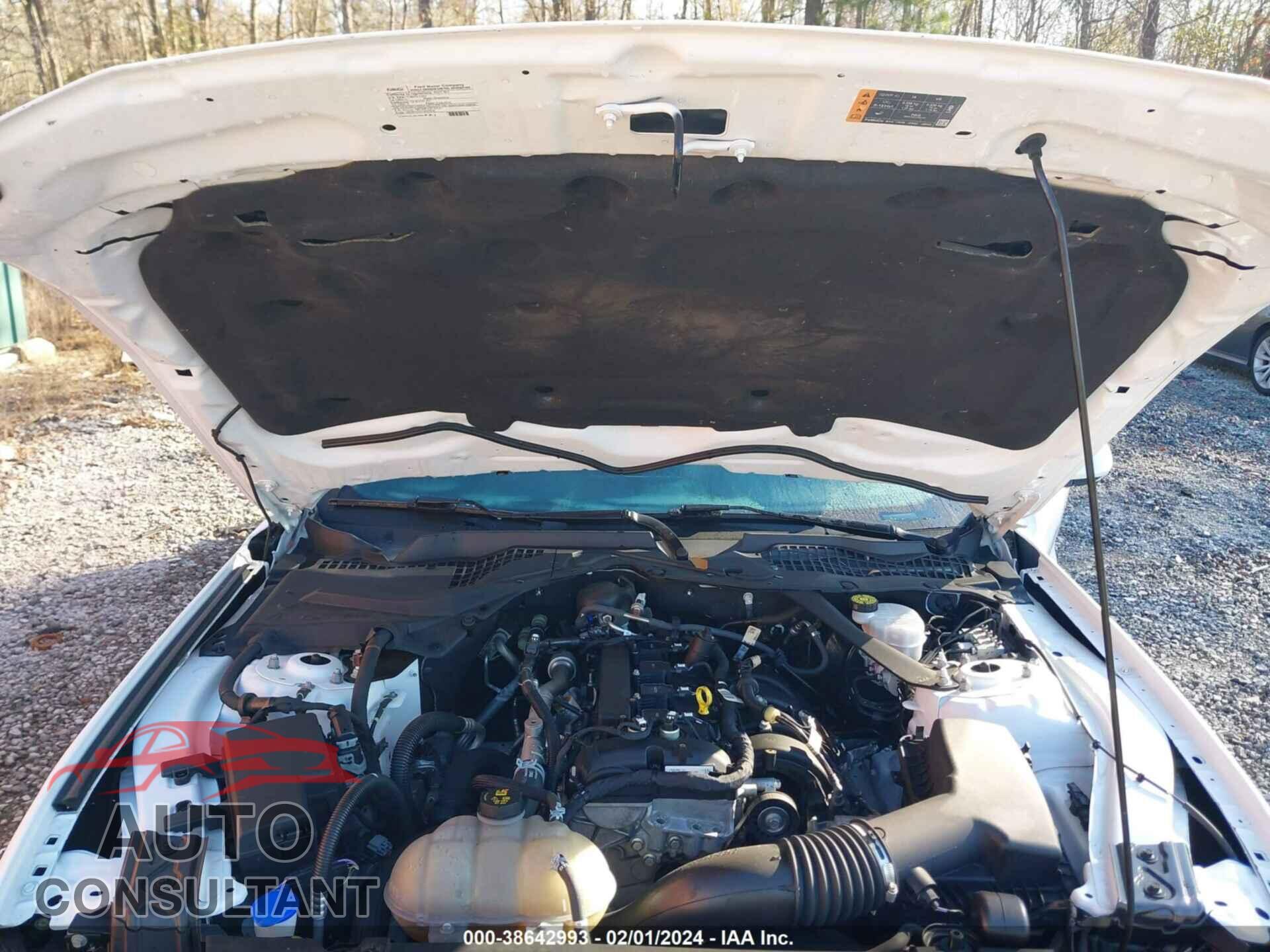 FORD MUSTANG 2021 - 1FATP8UH2M5122512