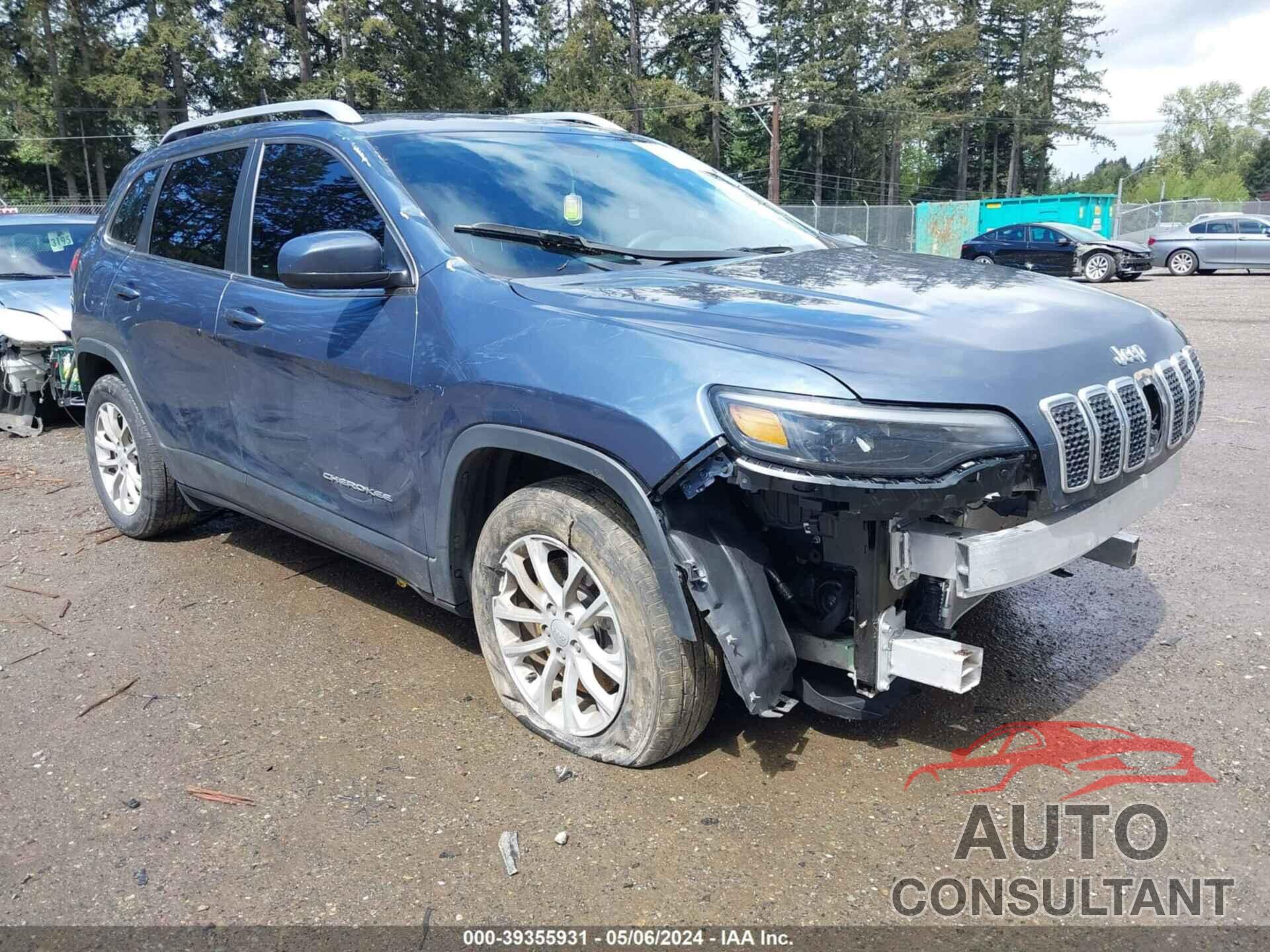 JEEP CHEROKEE 2019 - 1C4PJLCB0KD454531